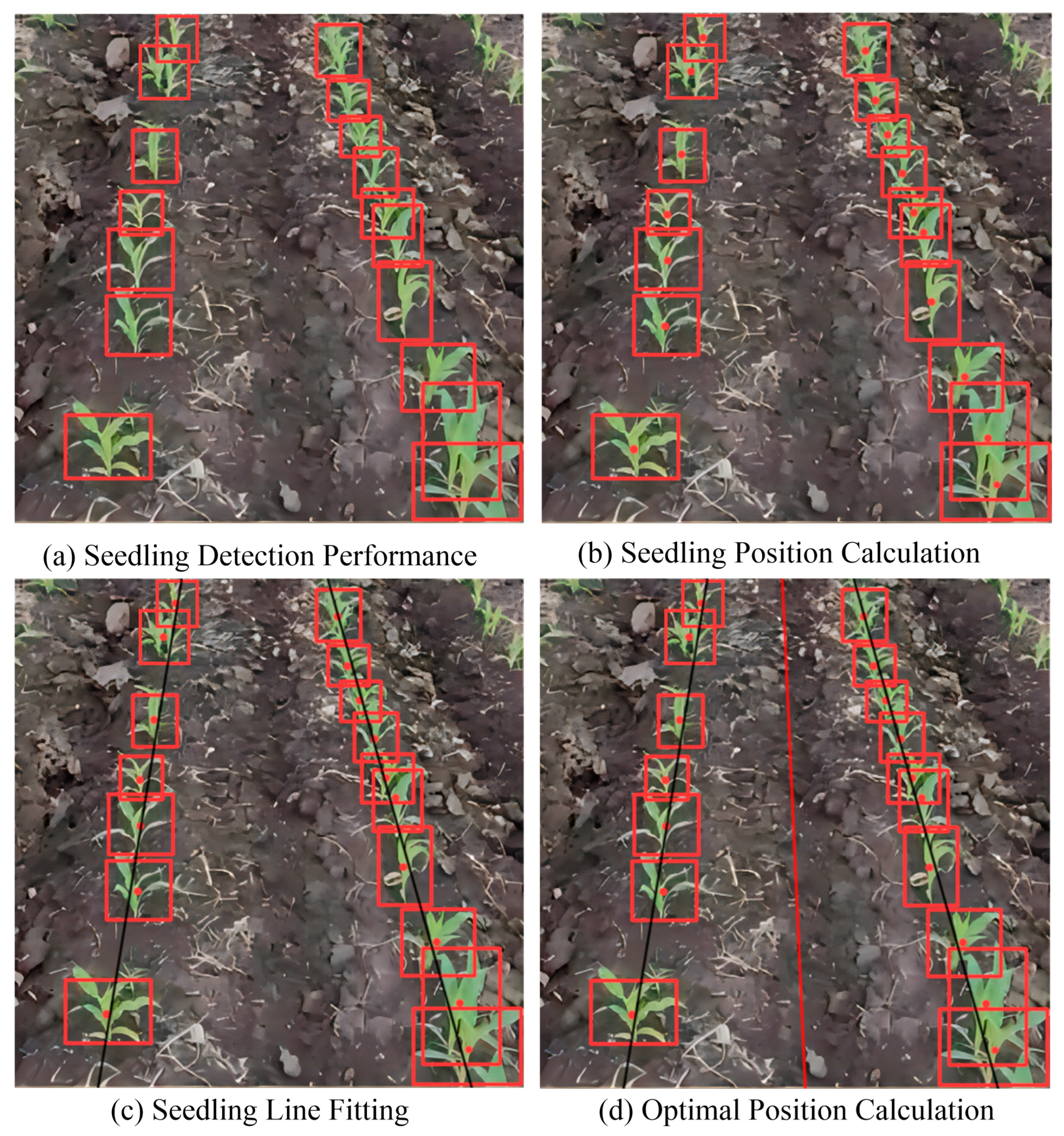 Agriculture 14 00124 g003