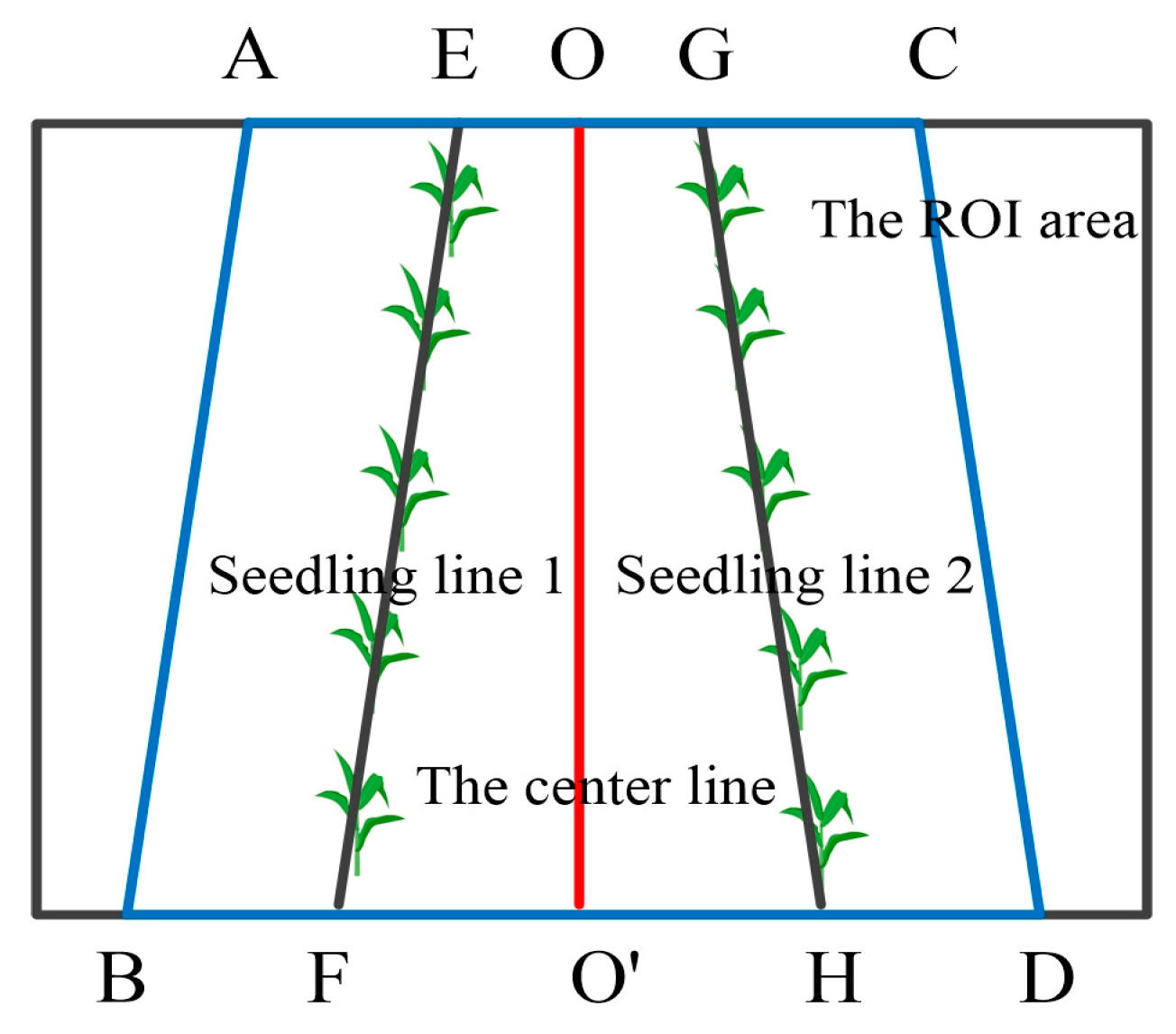 Agriculture 14 00124 g012