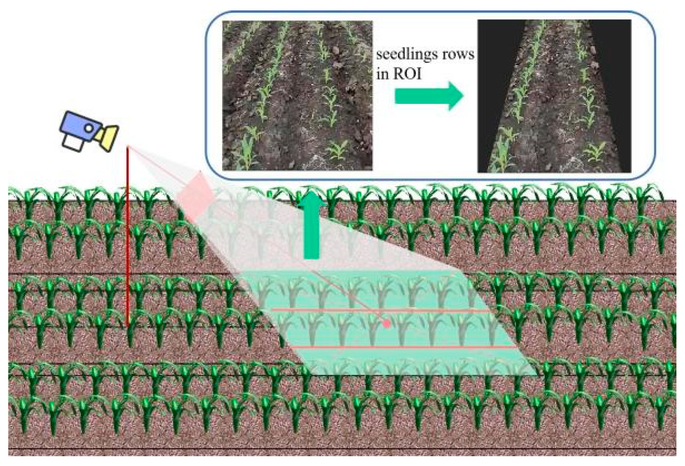 Agriculture 14 00124 g013