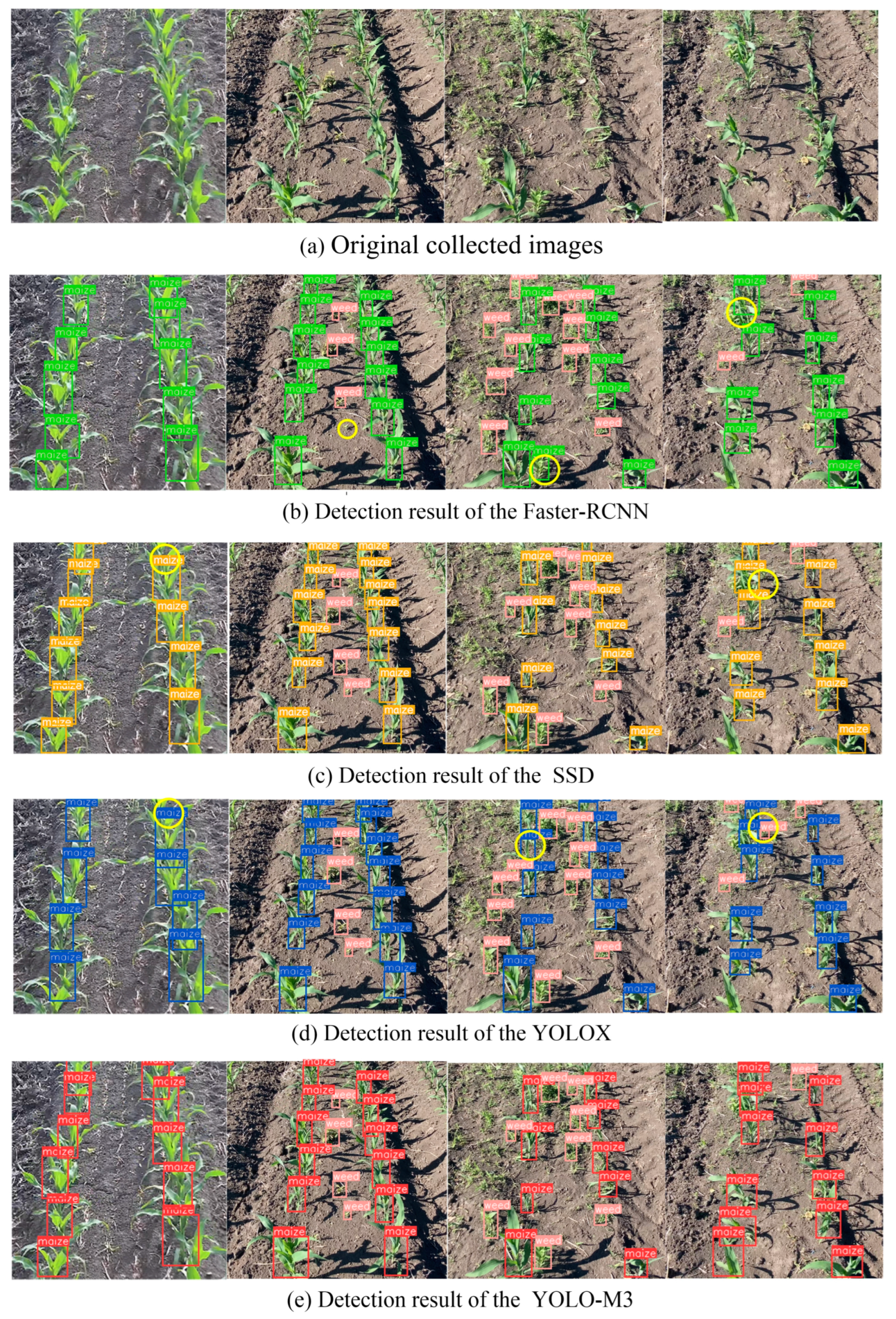 Agriculture 14 00124 g017