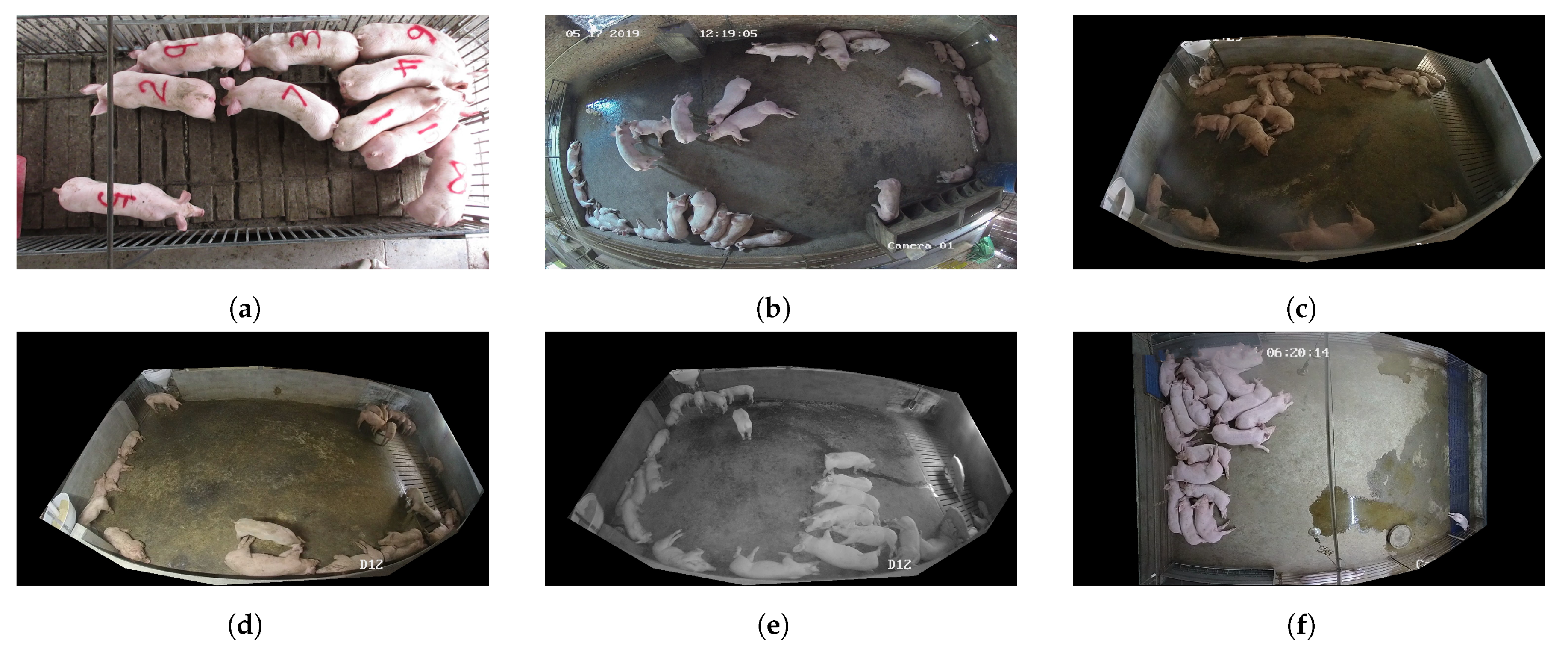 Agriculture 14 00141 g001