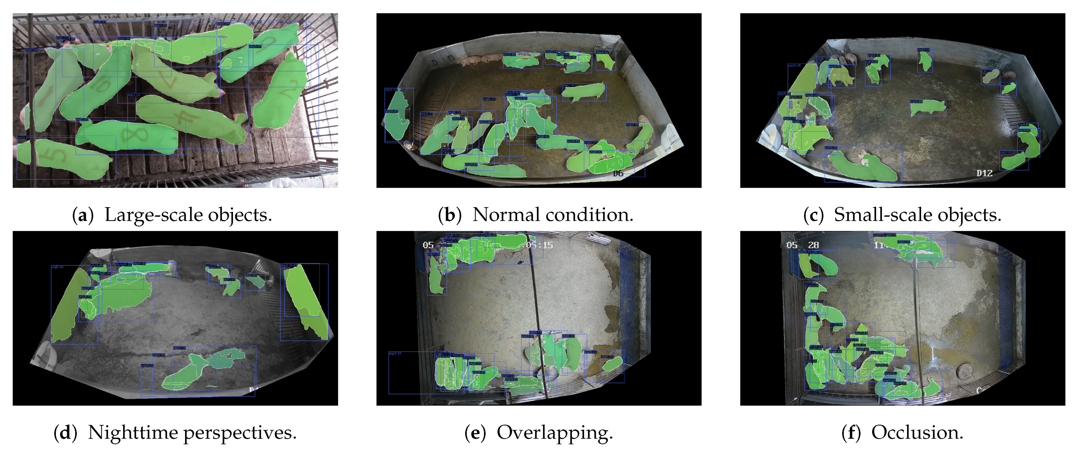 Agriculture 14 00141 g008