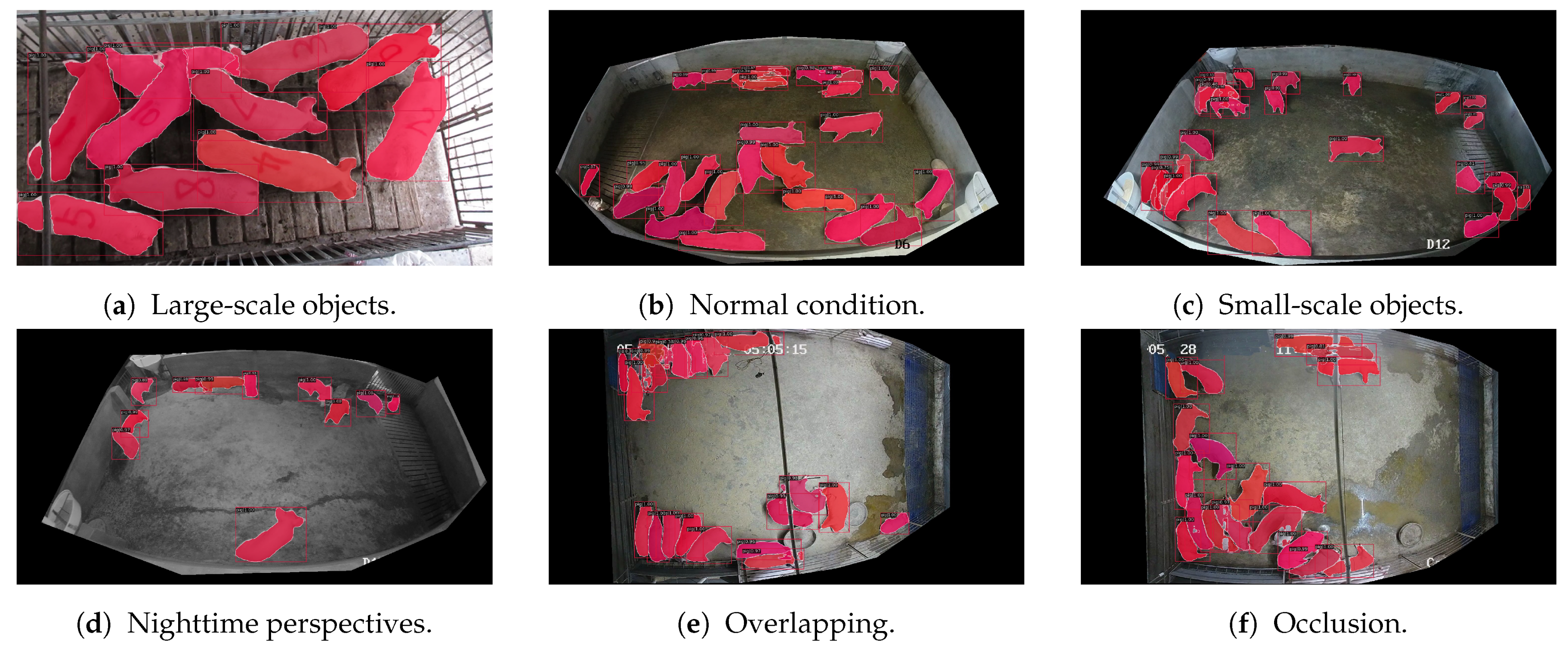 Agriculture 14 00141 g009