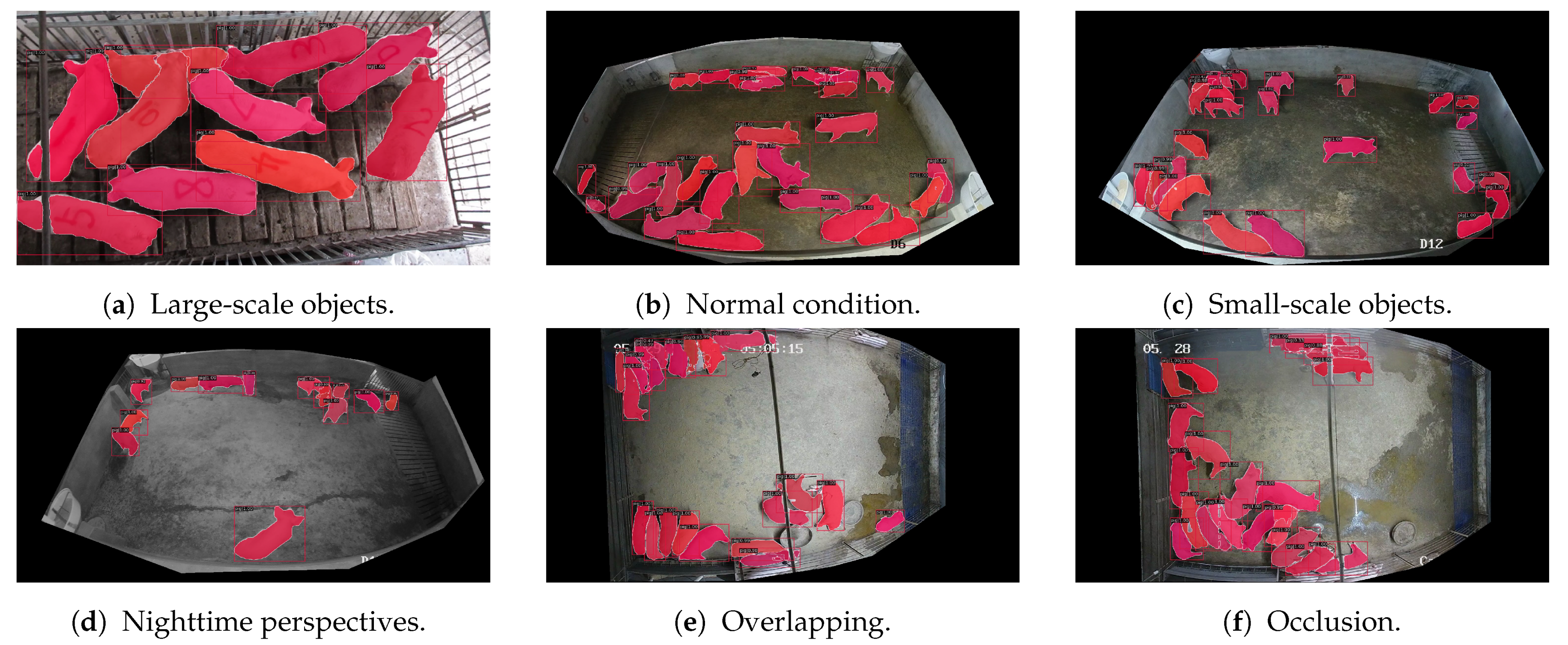 Agriculture 14 00141 g010
