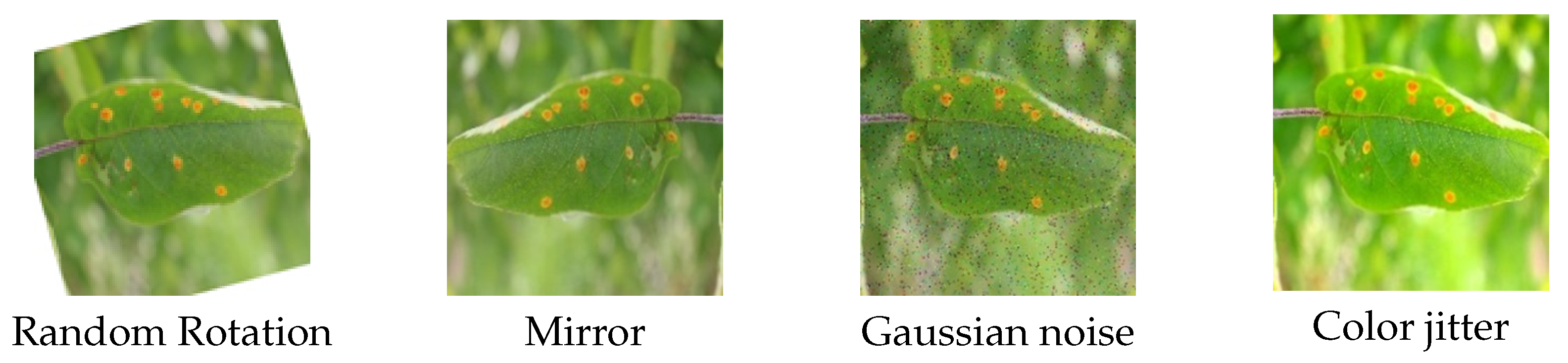 Agriculture 14 00142 g002