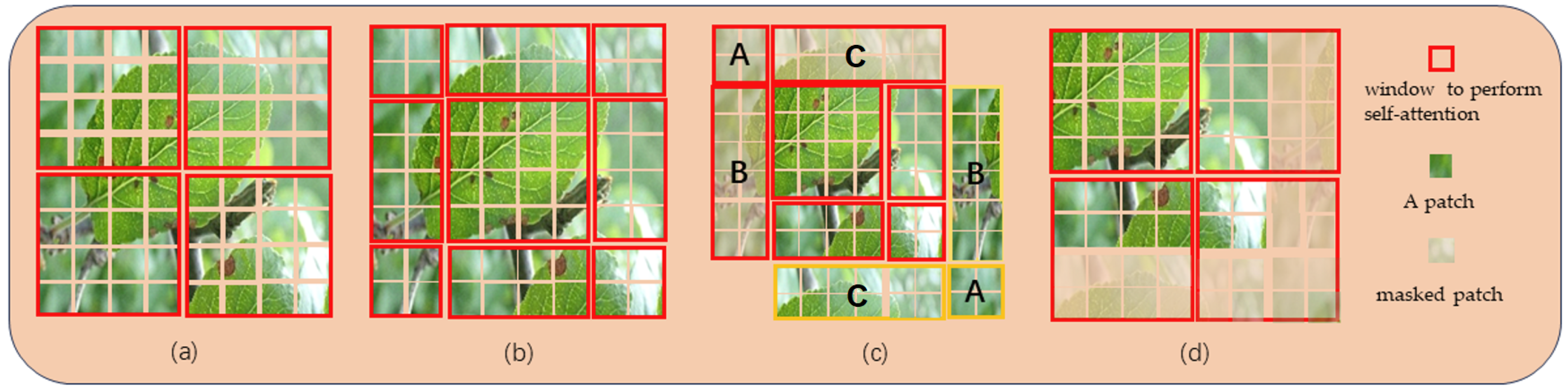 Agriculture 14 00142 g005