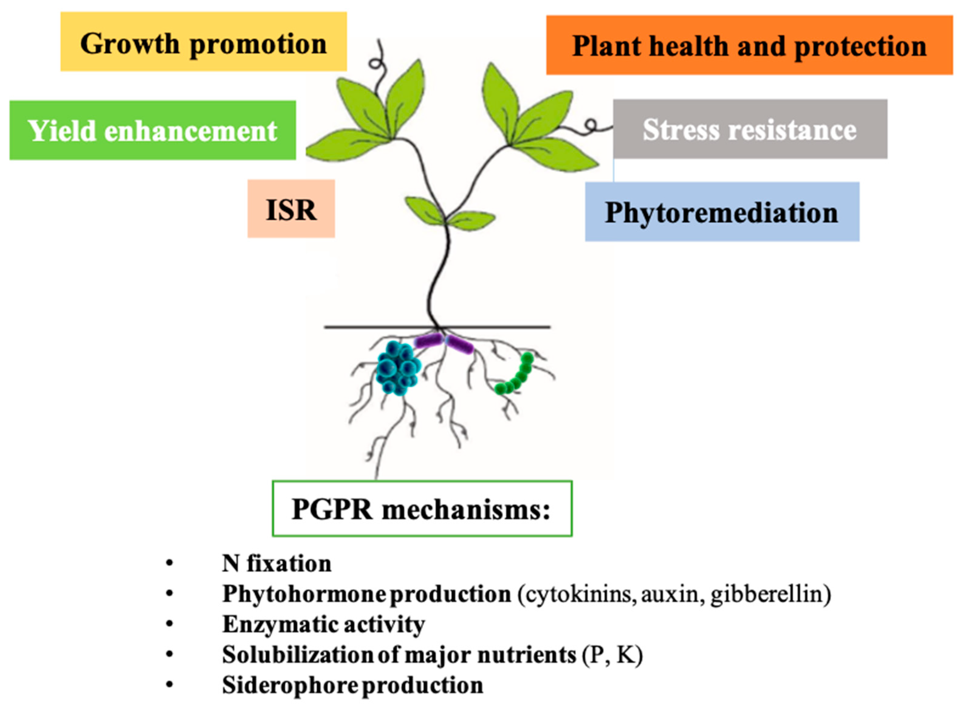 Agriculture 14 00152 g002