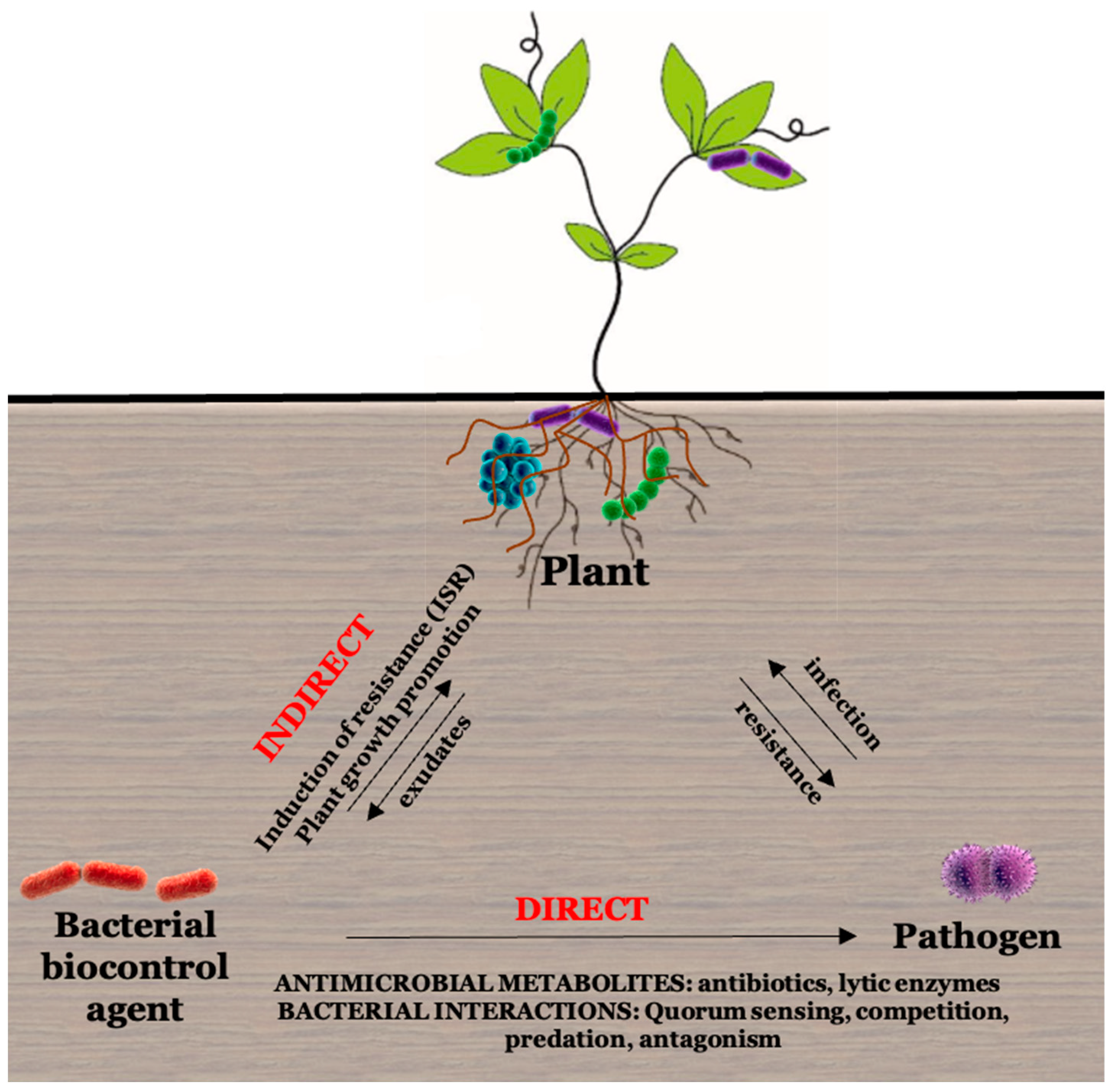 Agriculture 14 00152 g003