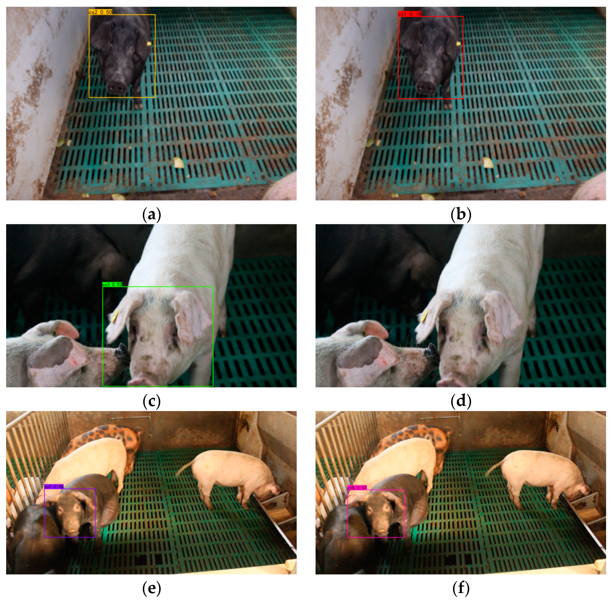 Agriculture 14 00156 g013