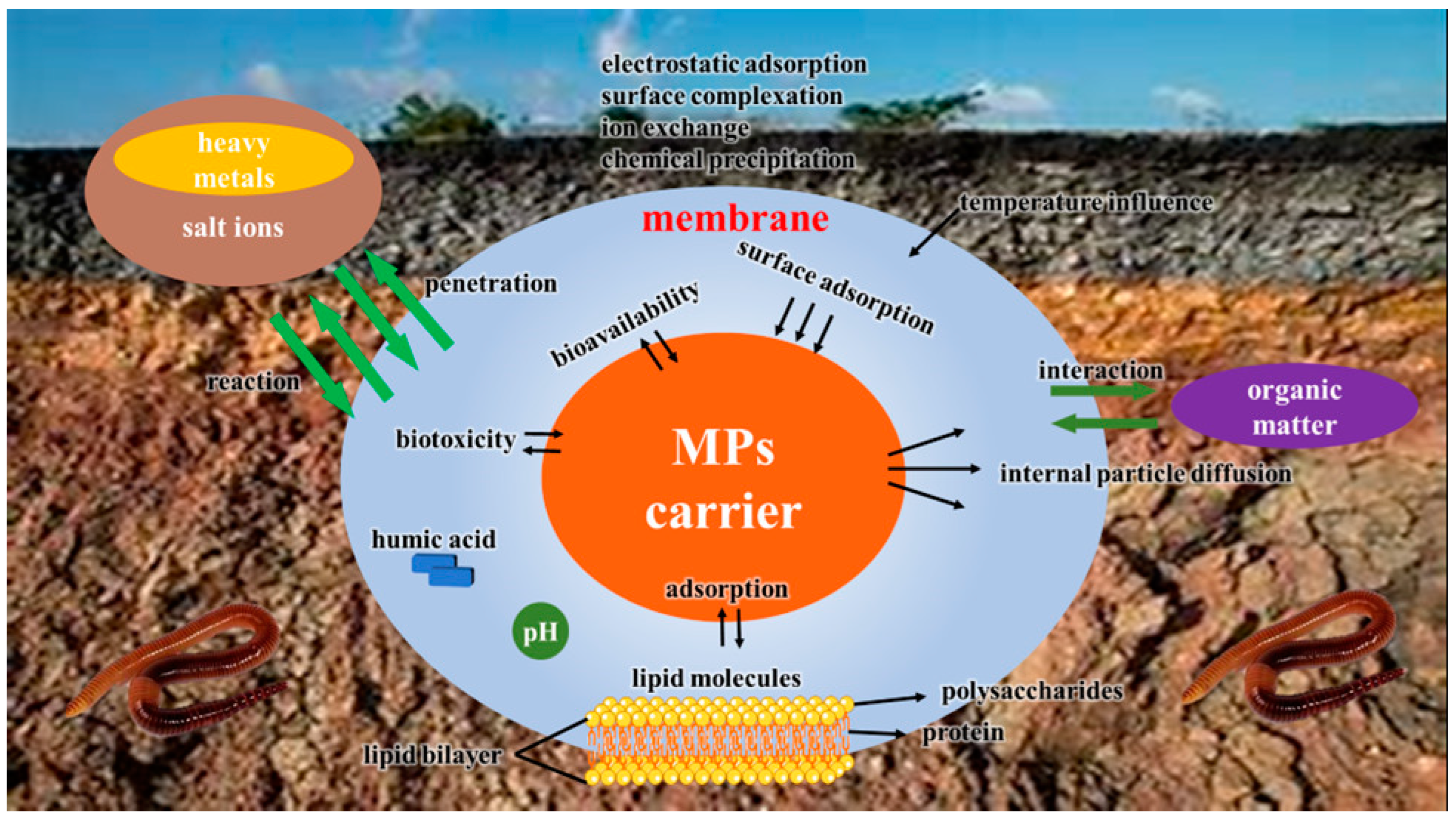Agriculture 14 00157 g005