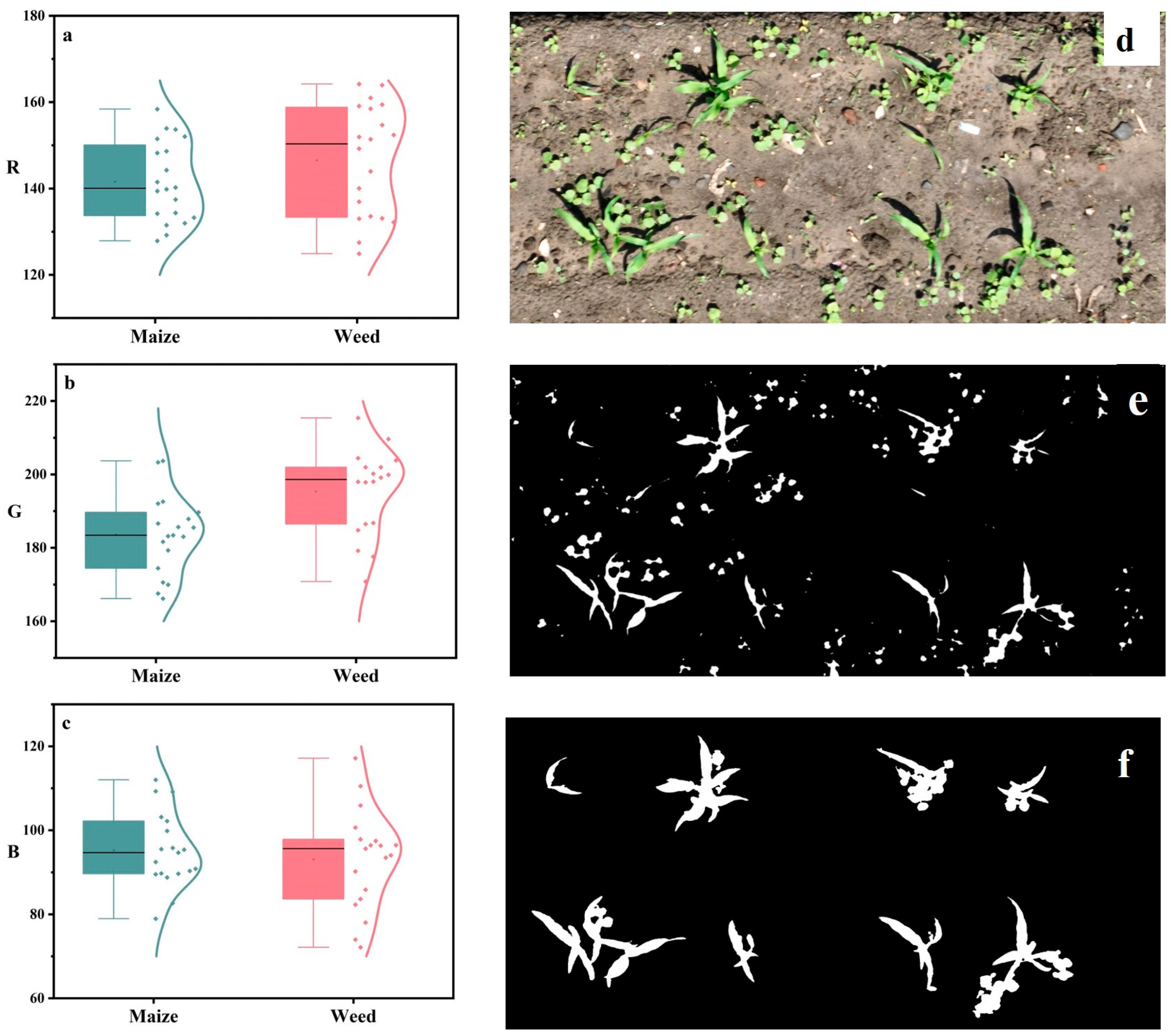 Agriculture 14 00175 g003