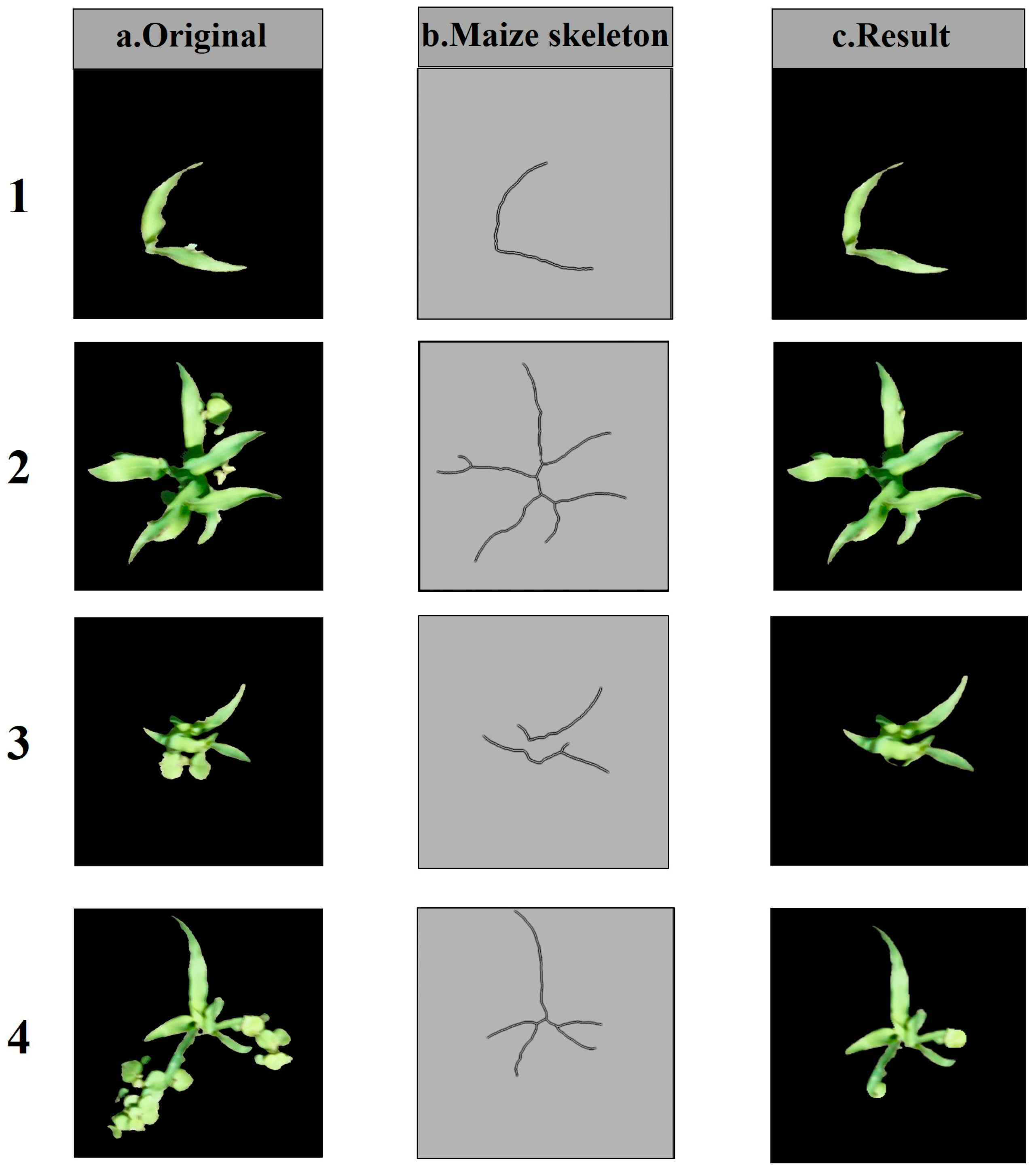 Agriculture 14 00175 g006
