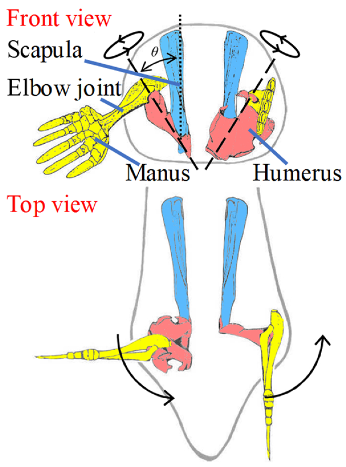 Agriculture 14 00186 g001