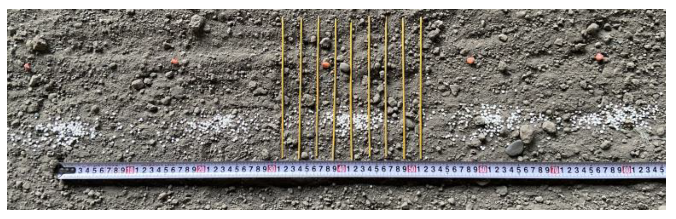 Agriculture 14 00192 g010 Agriculture 14 00192 g010