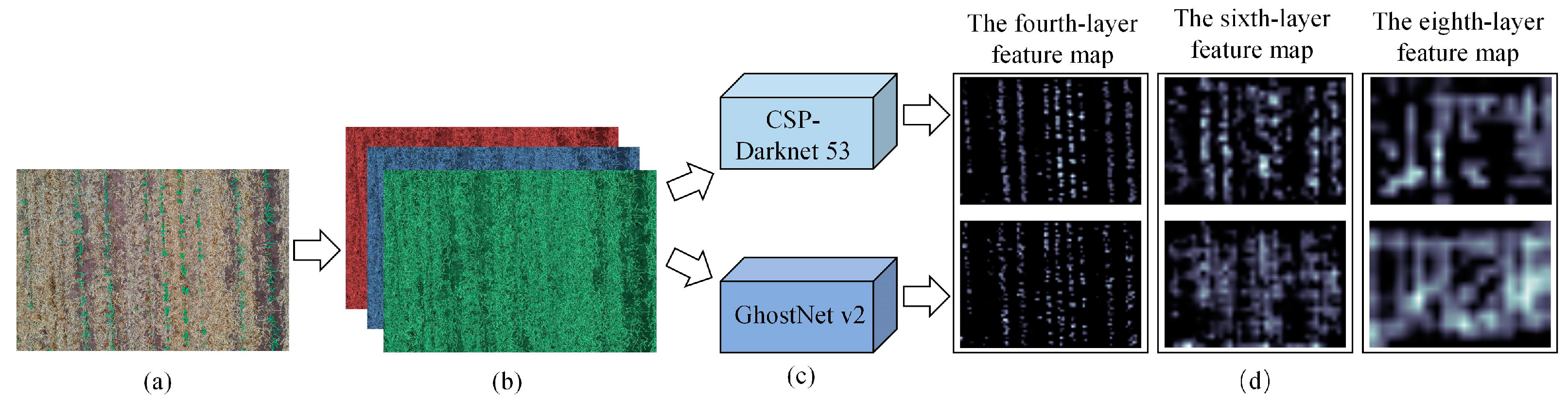 Agriculture 14 00208 g007