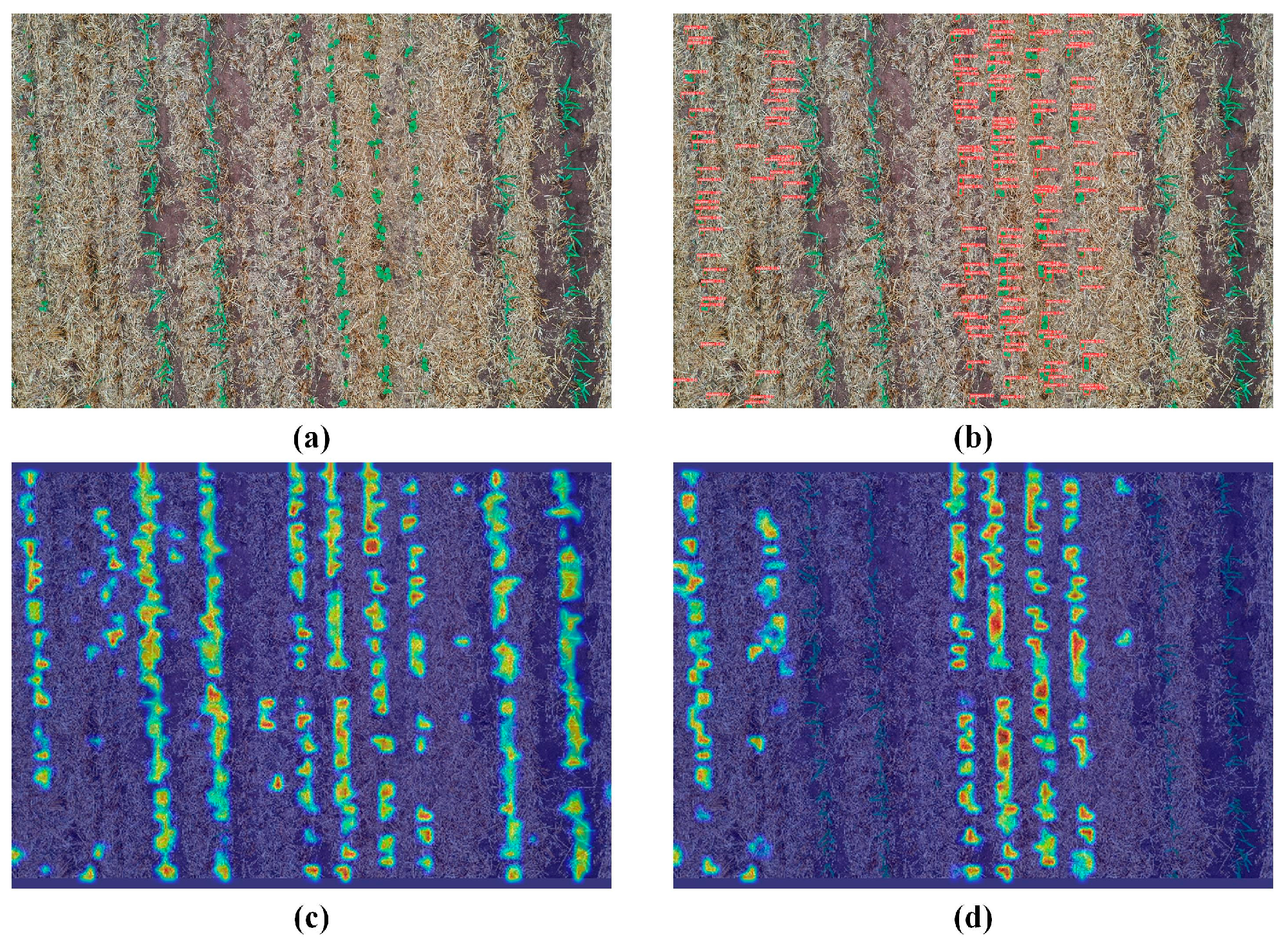Agriculture 14 00208 g008