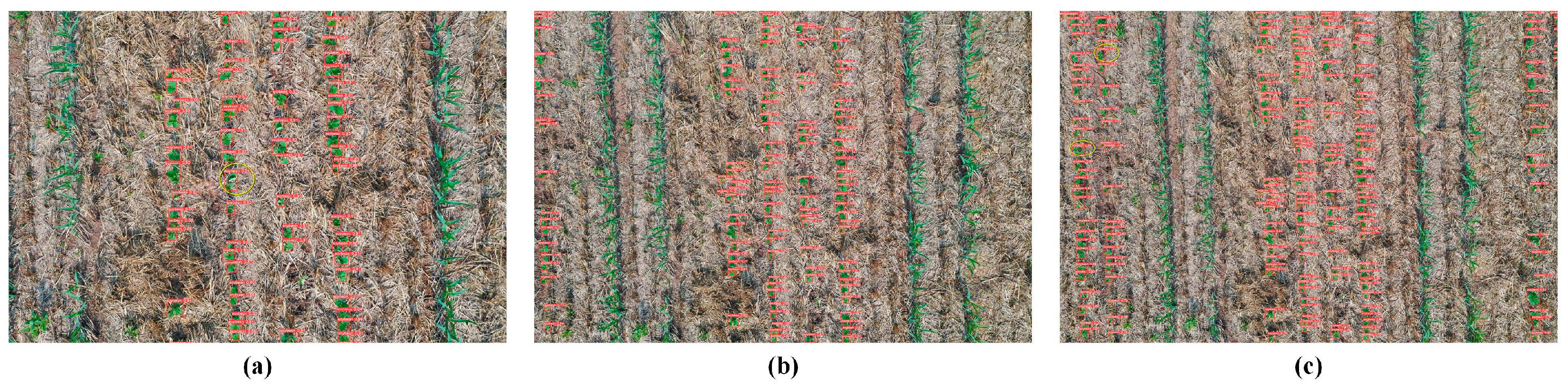 Agriculture 14 00208 g010