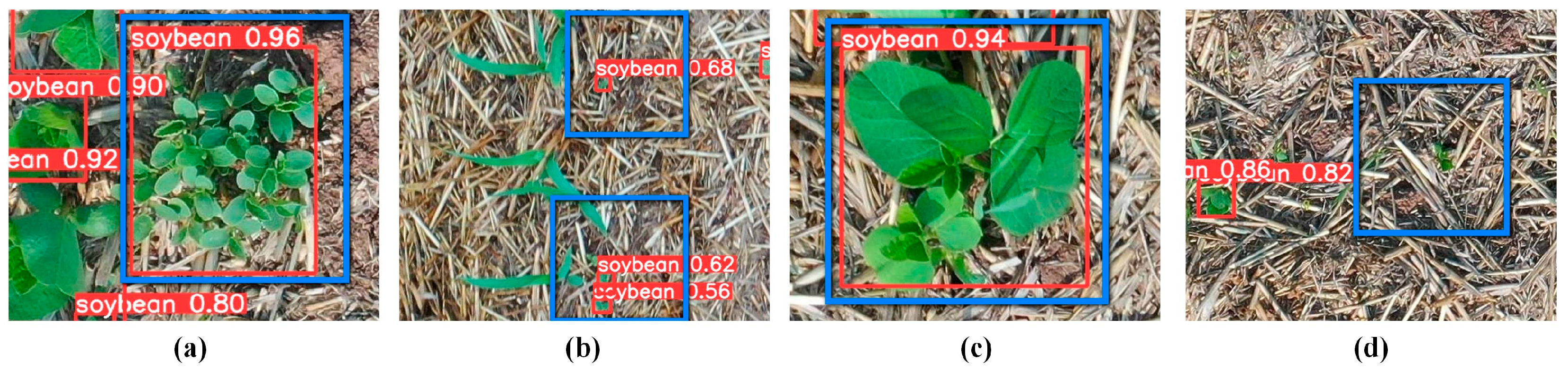 Agriculture 14 00208 g013
