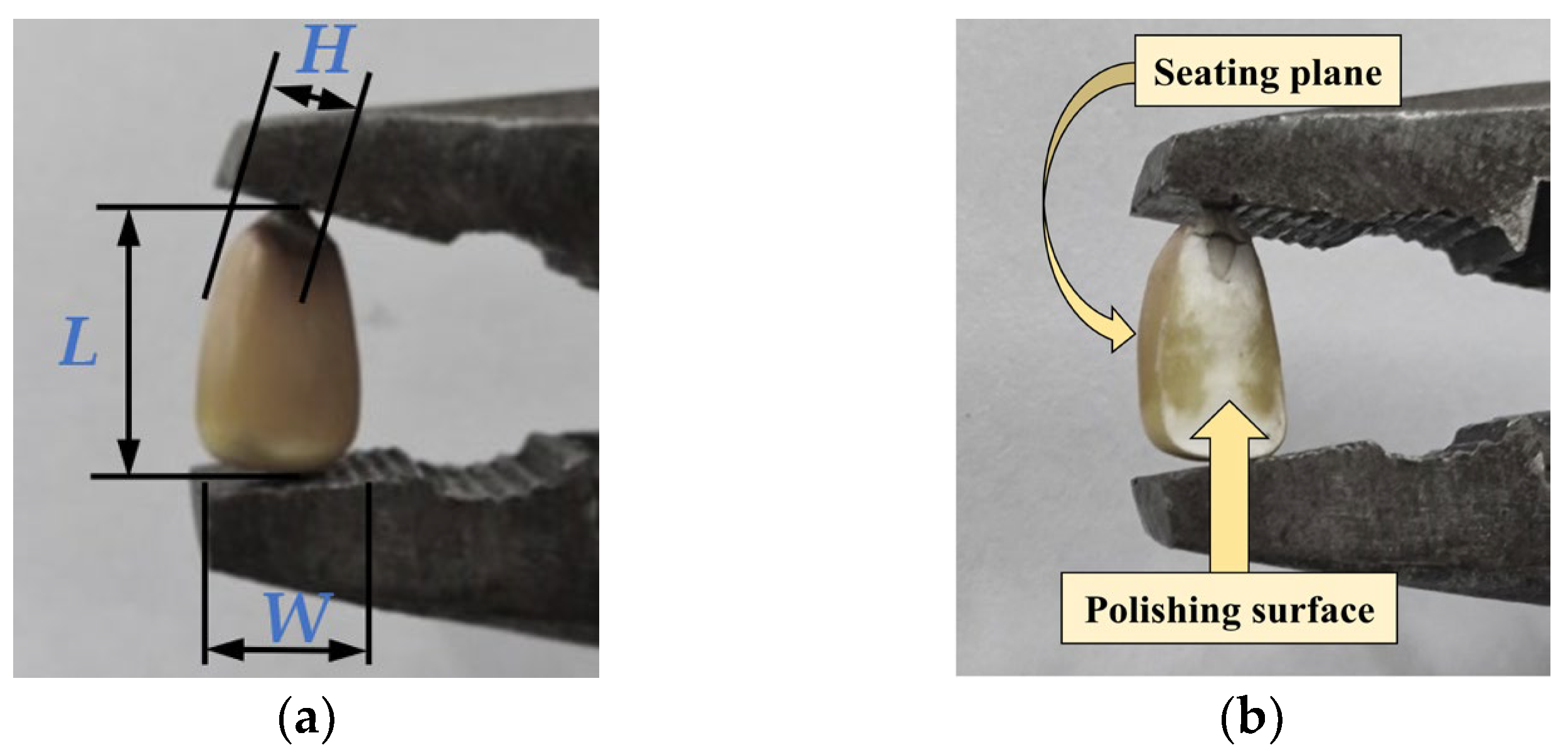 Agriculture 14 00224 g001 Agriculture 14 00224 g001
