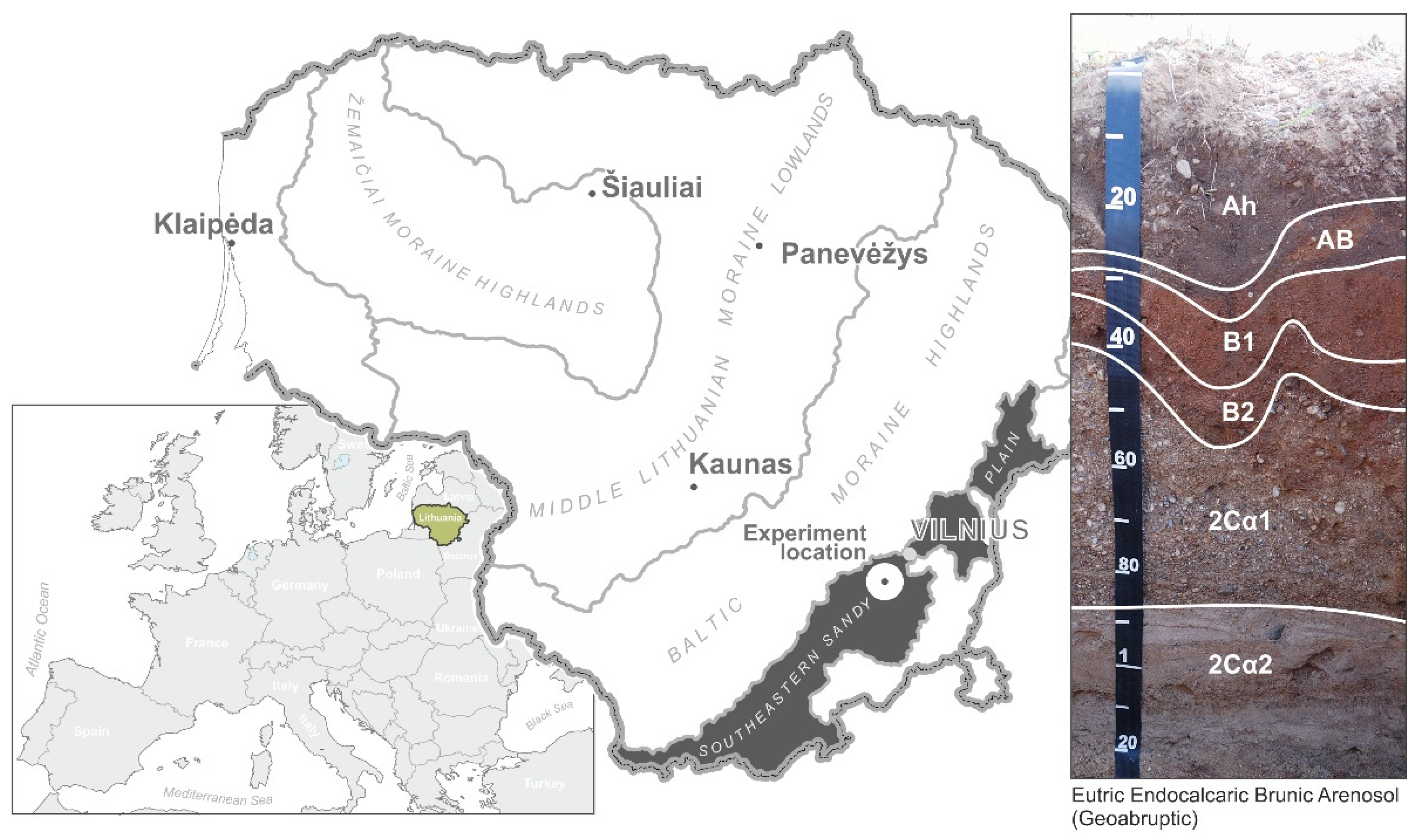 Agriculture 14 00250 g001