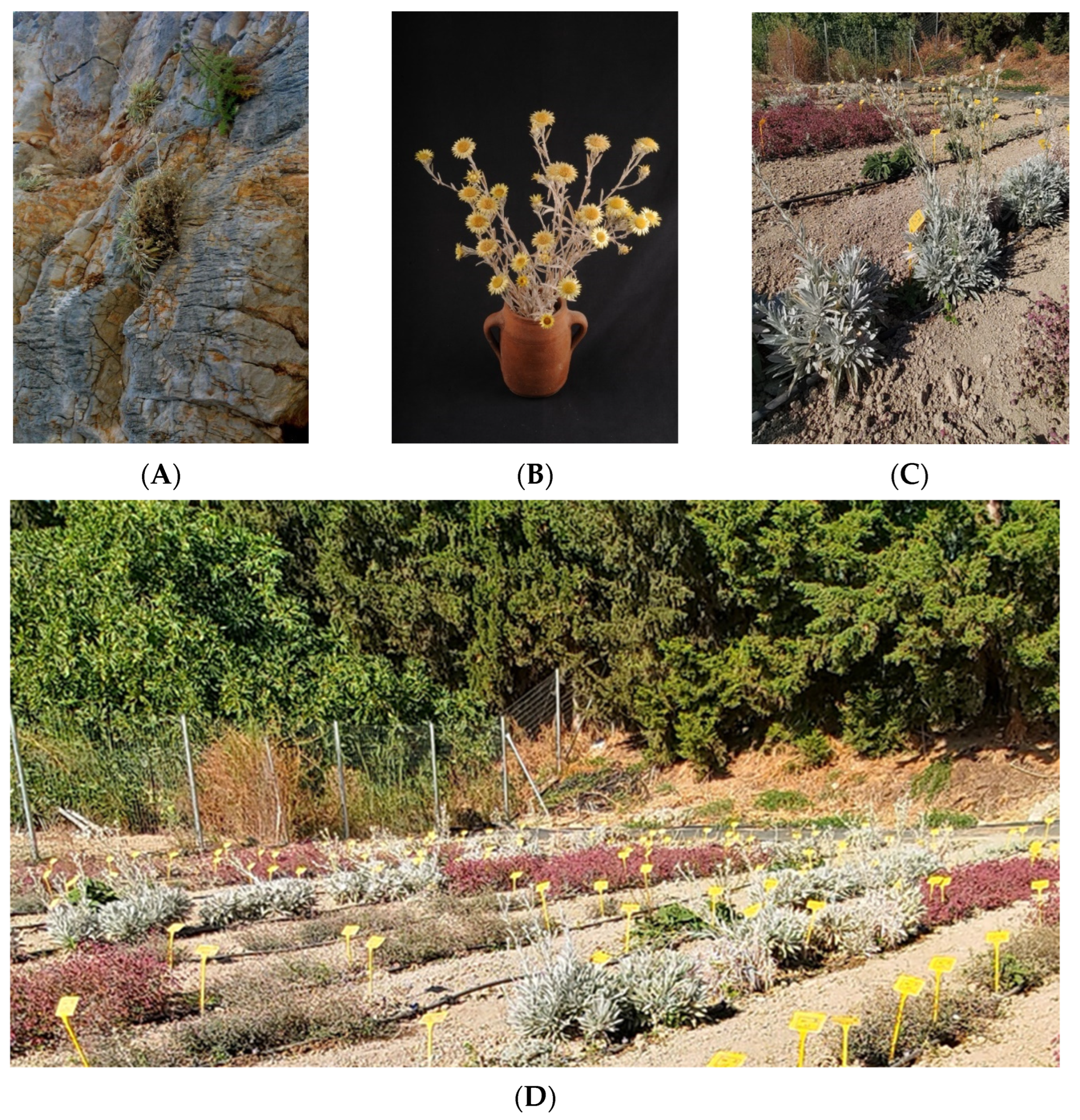 Agriculture 14 00259 g001