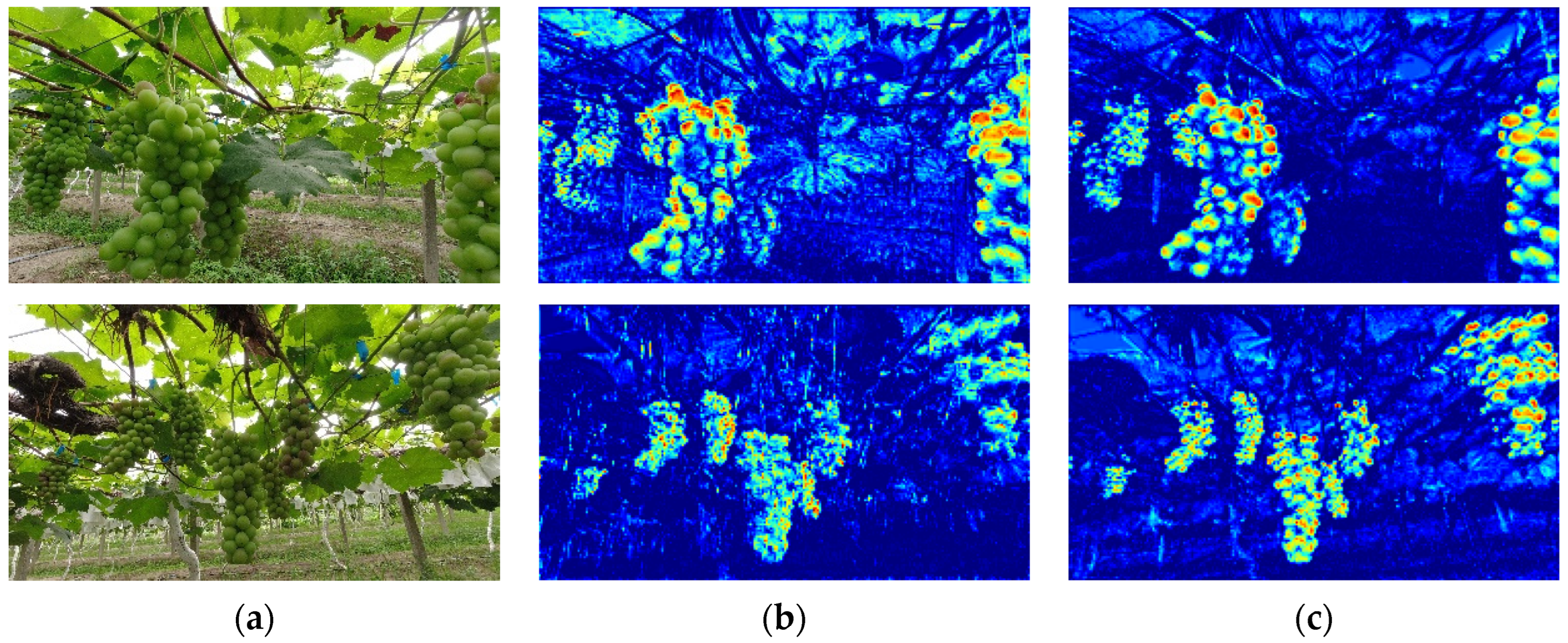 Agriculture 14 00262 g008 Agriculture 14 00262 g008