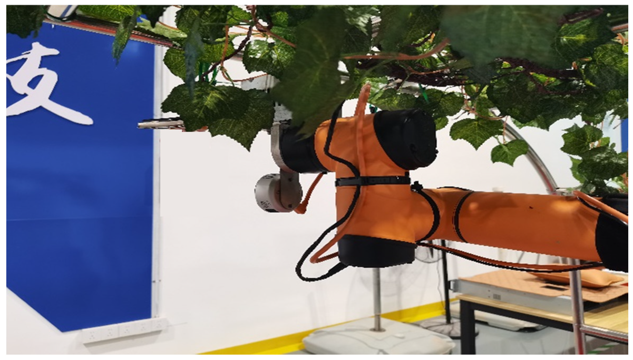 Agriculture 14 00262 g010 Agriculture 14 00262 g010