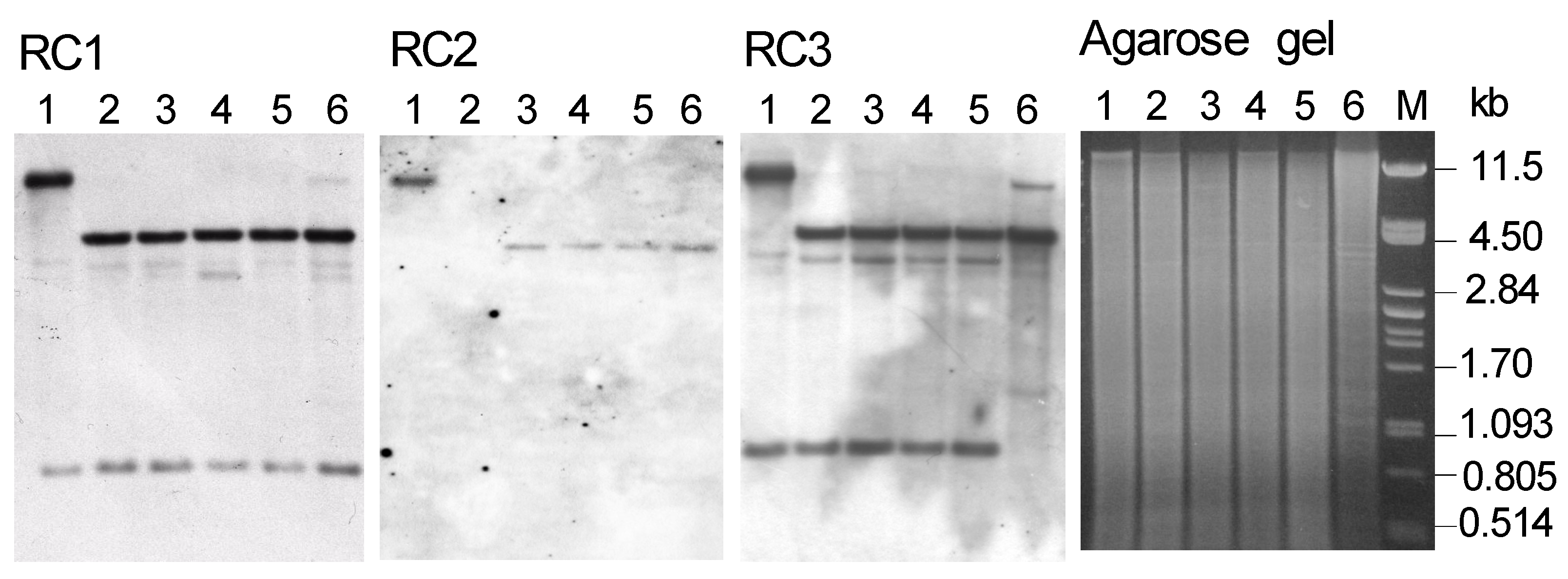 Agriculture 14 00265 g002
