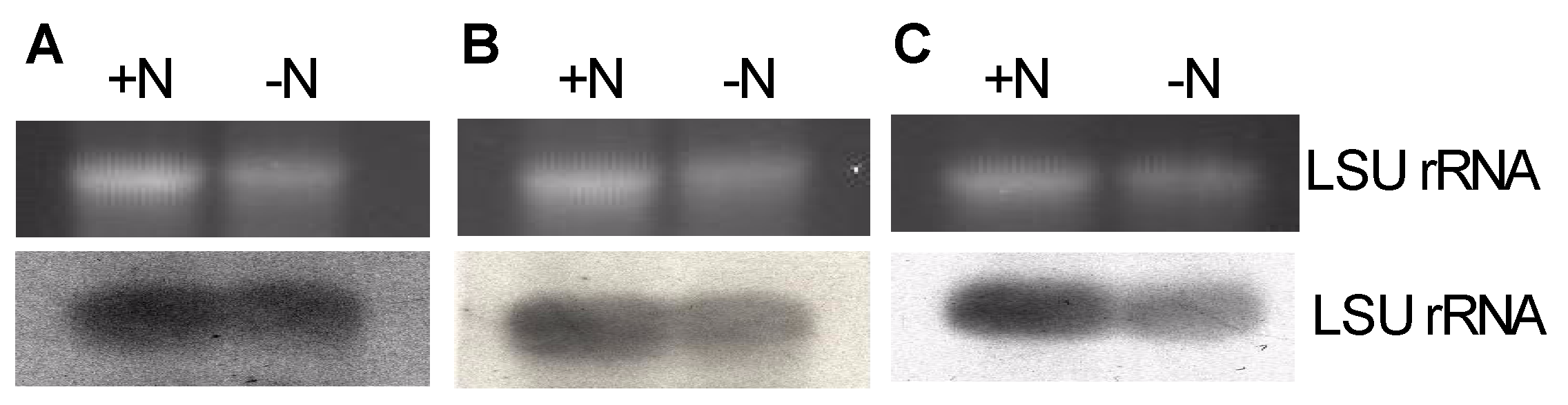 Agriculture 14 00265 g003