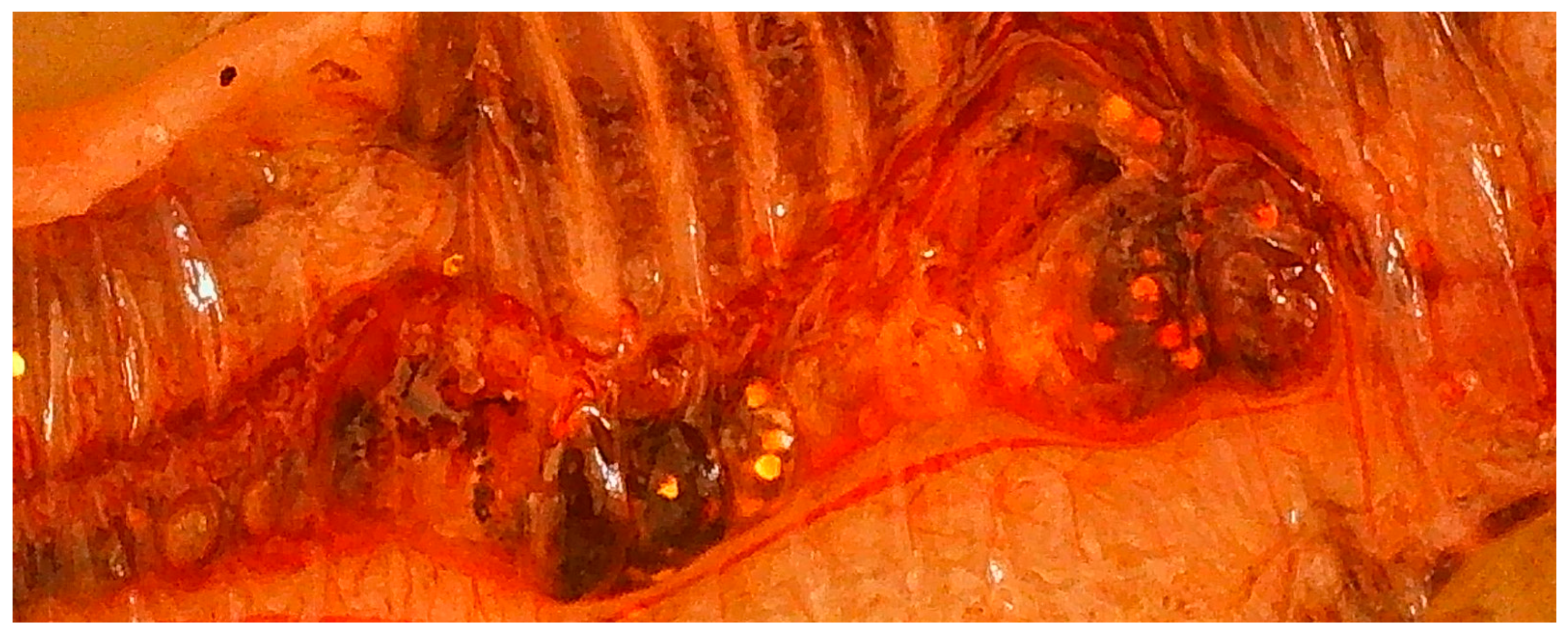 Agriculture 14 00267 g004