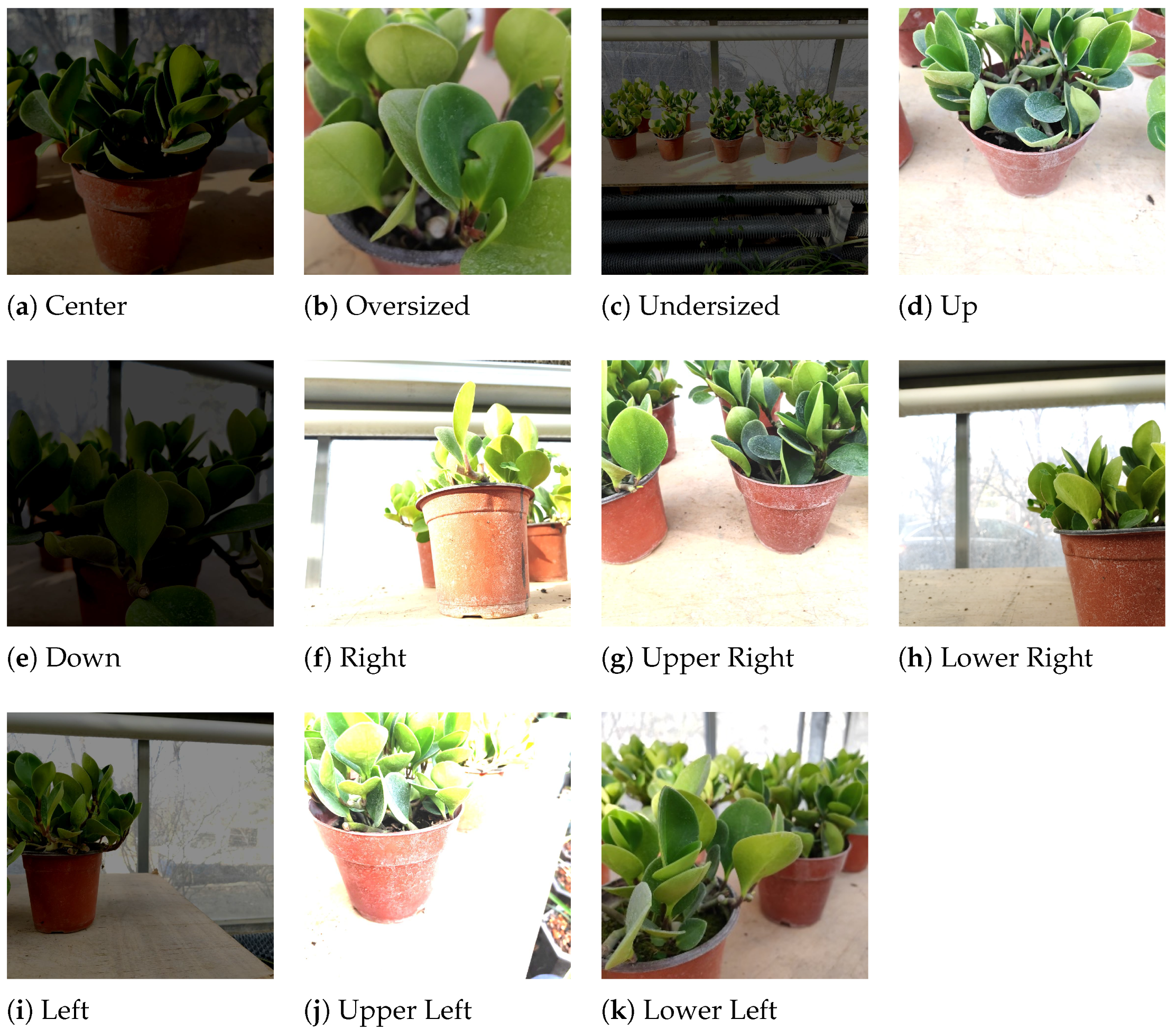 Agriculture 14 00271 g001