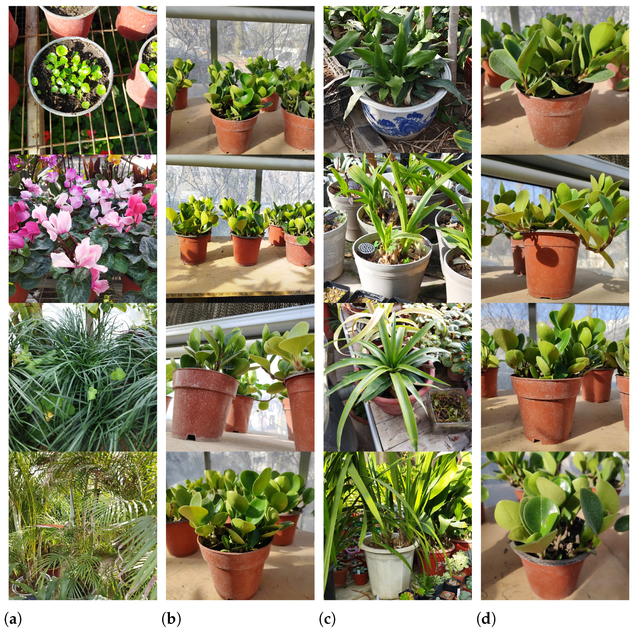 Agriculture 14 00271 g017