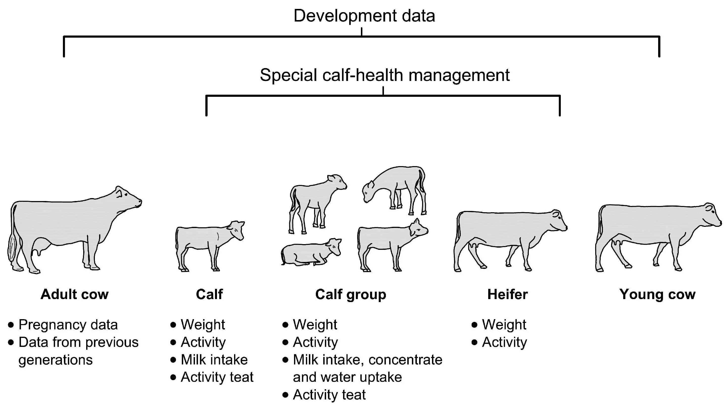 Agriculture 14 00272 g001