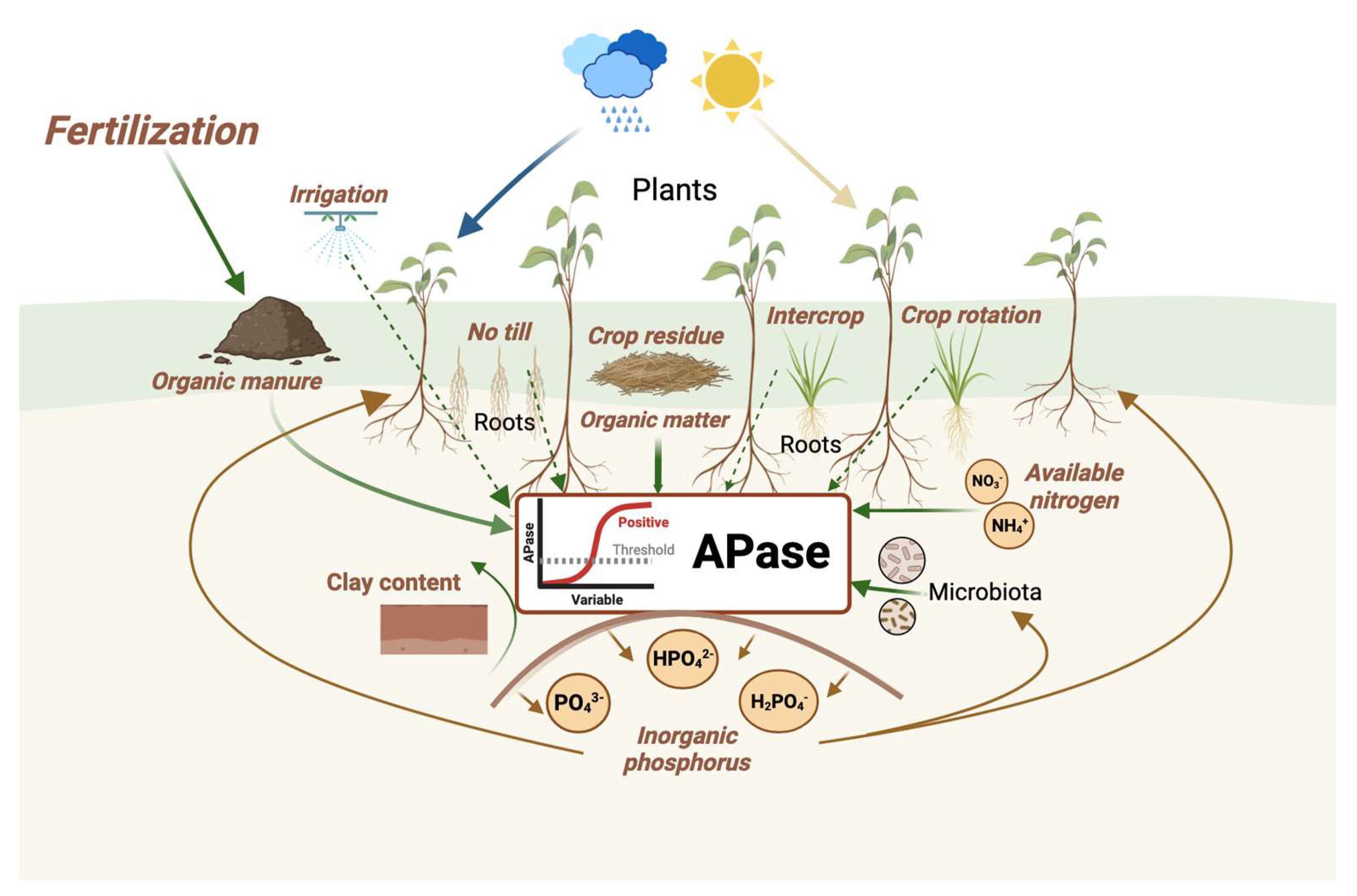 Agriculture 14 00288 g010