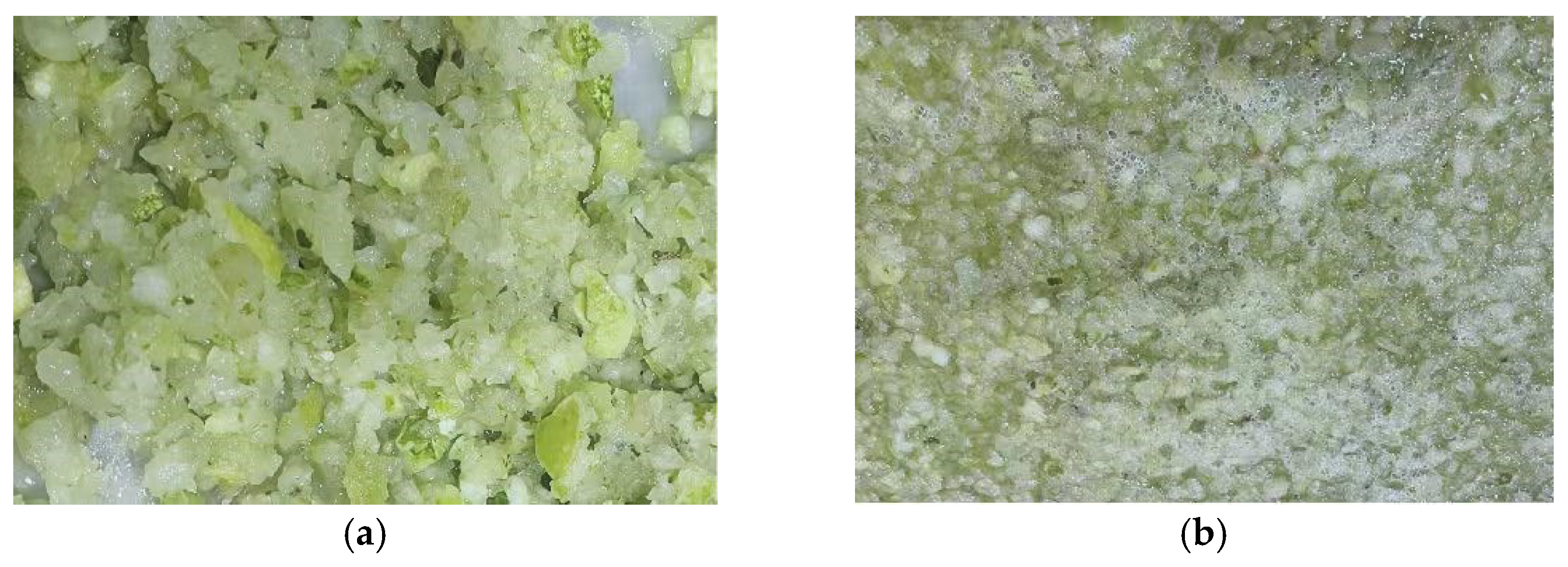 Agriculture 14 00308 g016