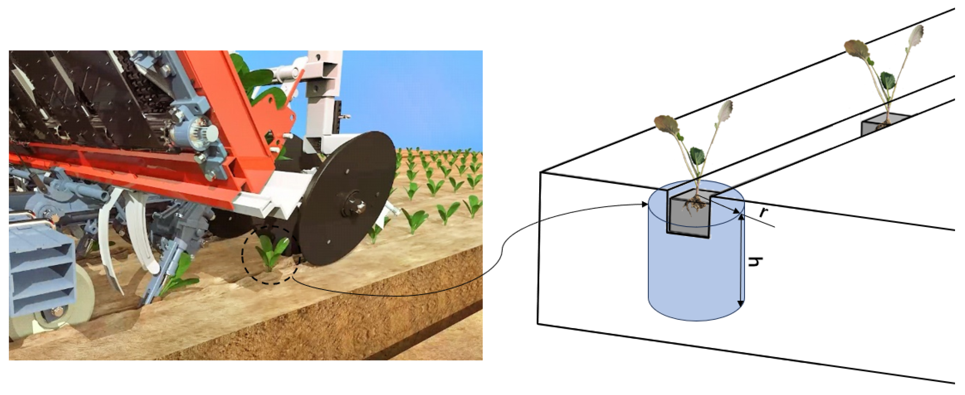 Agriculture 14 00310 g001