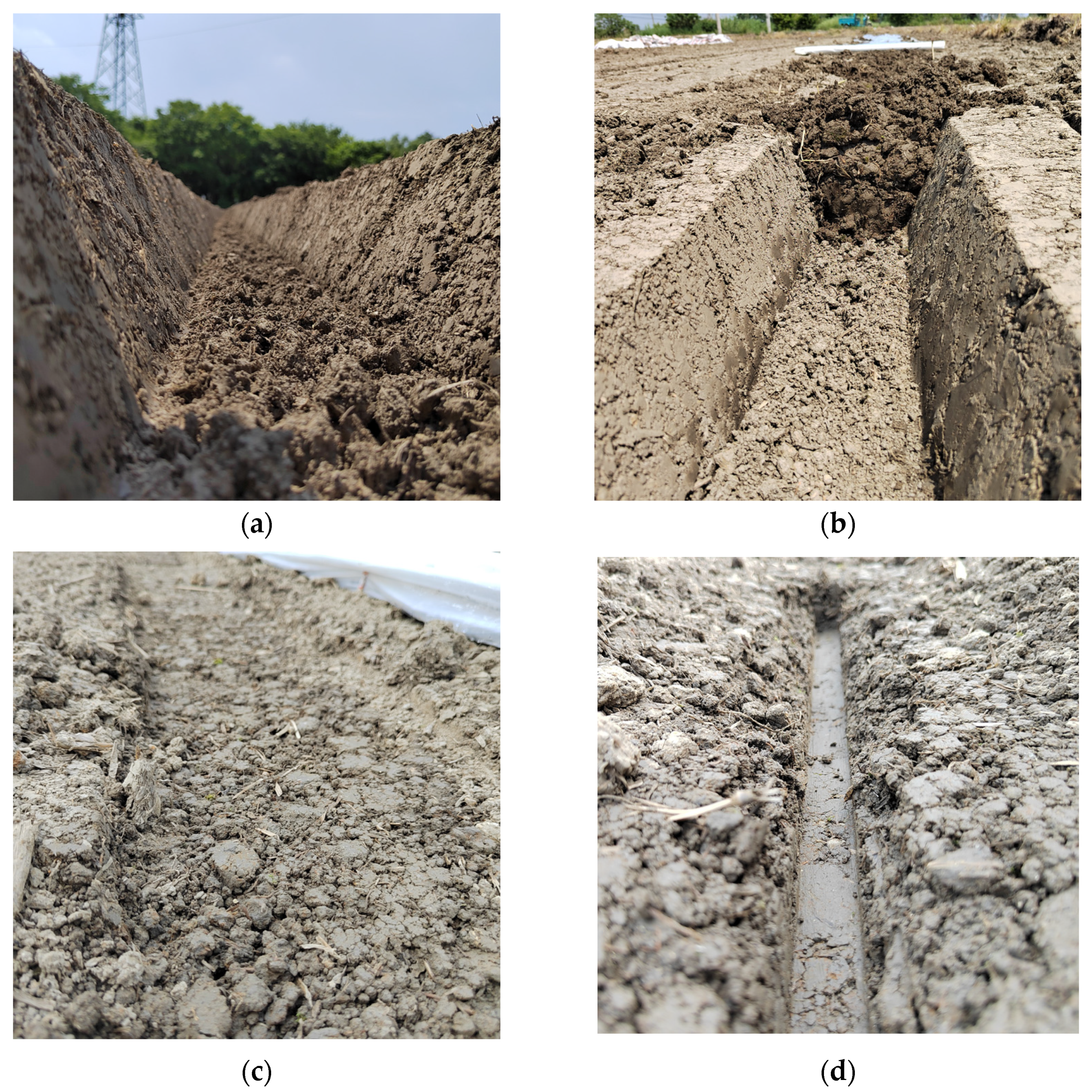 Agriculture 14 00310 g004