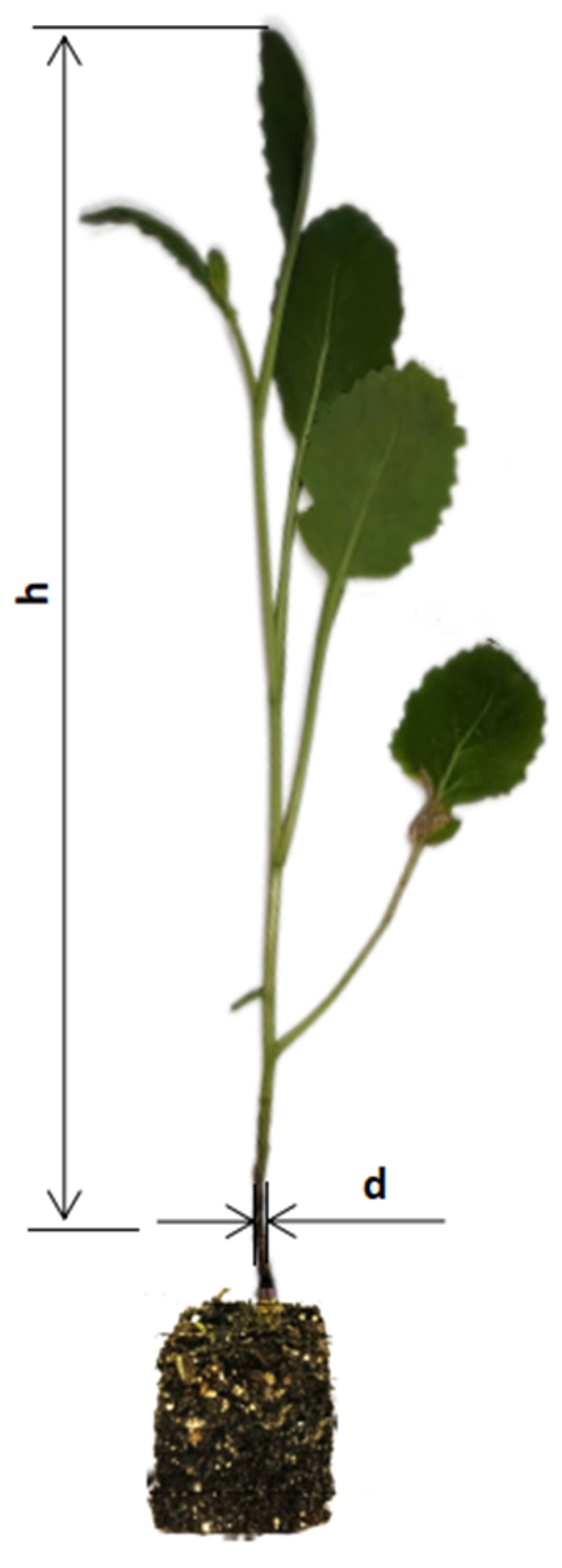 Agriculture 14 00310 g005