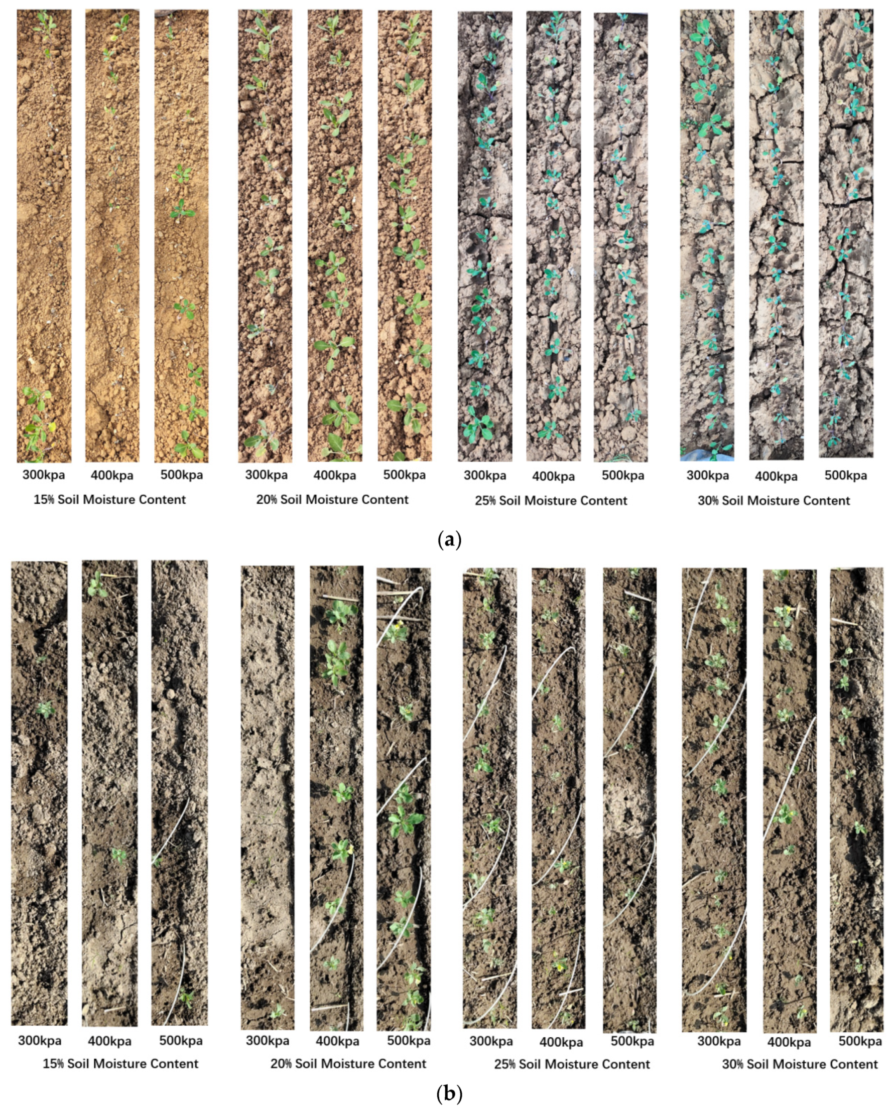 Agriculture 14 00310 g009