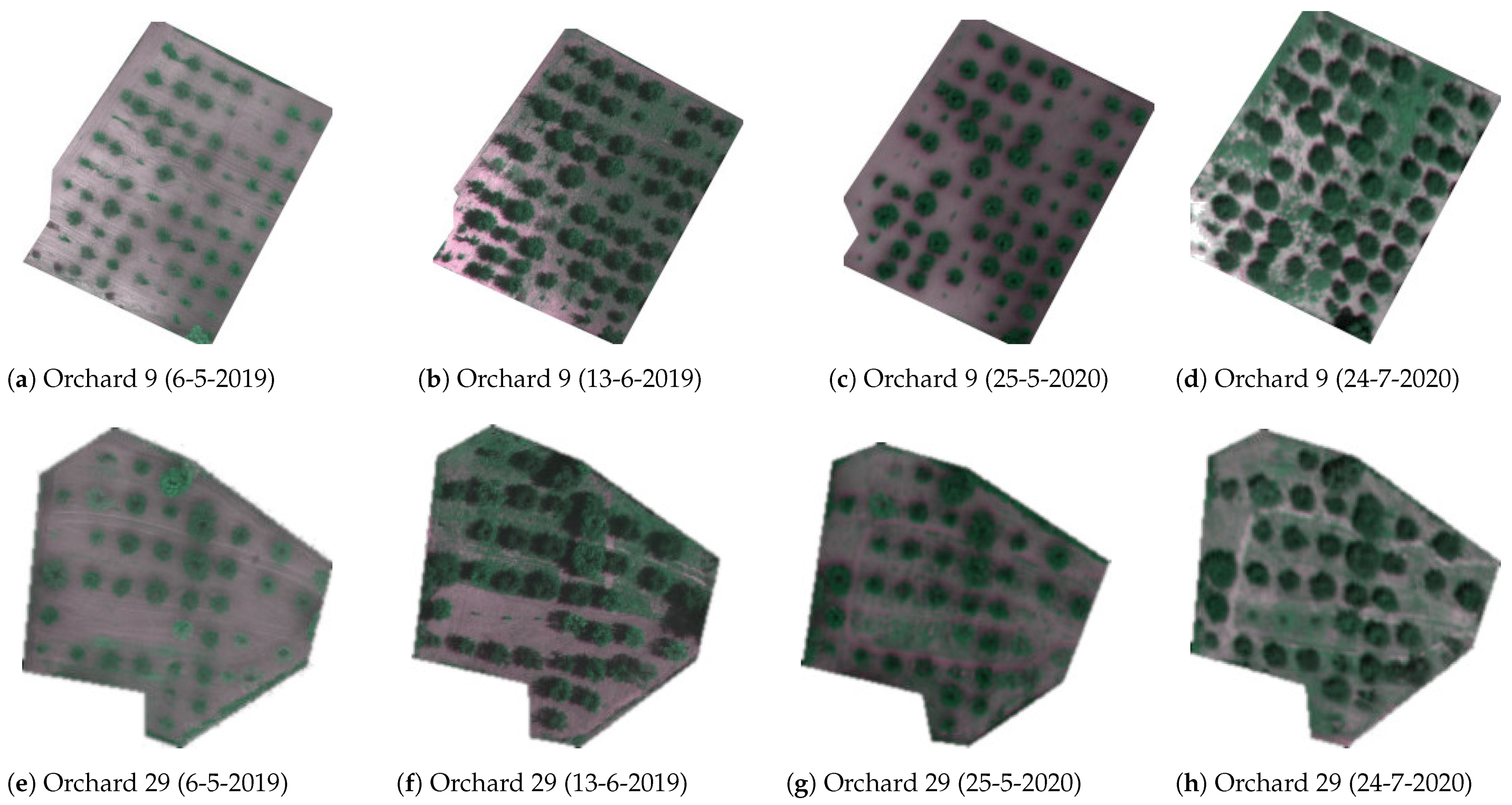 Cherry Tree Crown Extraction Using Machine Learning Based on Images ...