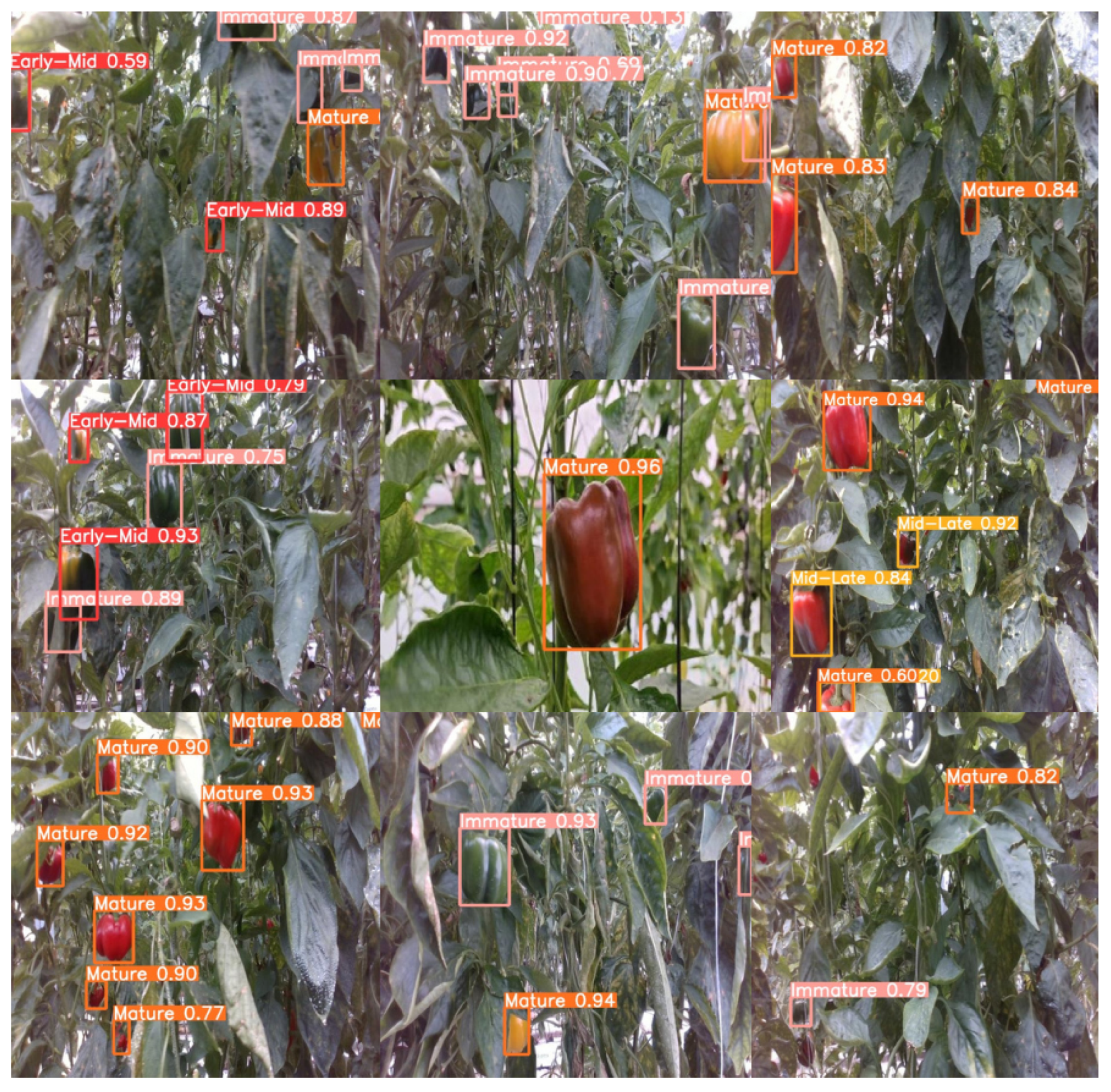 Agriculture 14 00331 g022