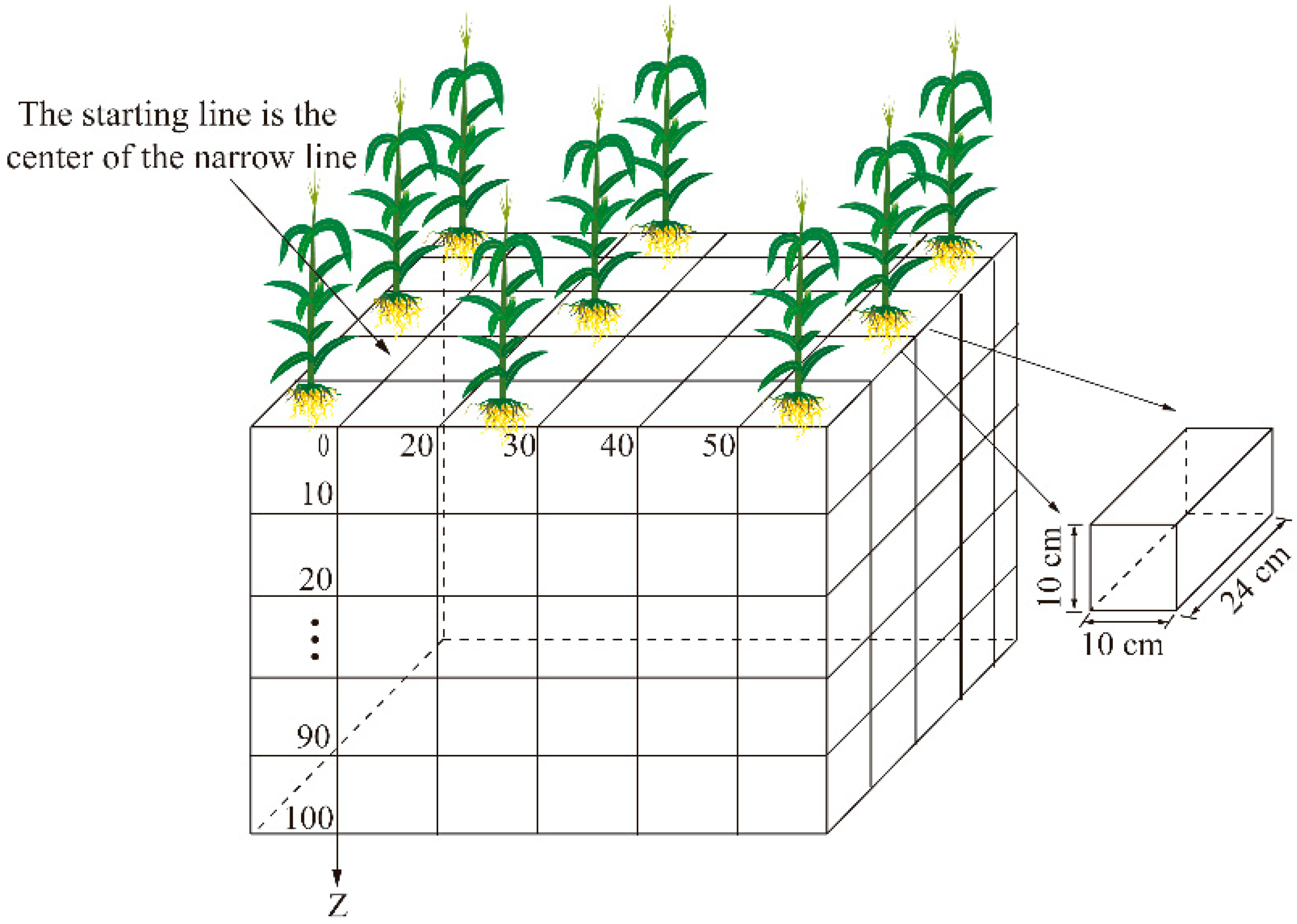 Agriculture 14 00338 g002