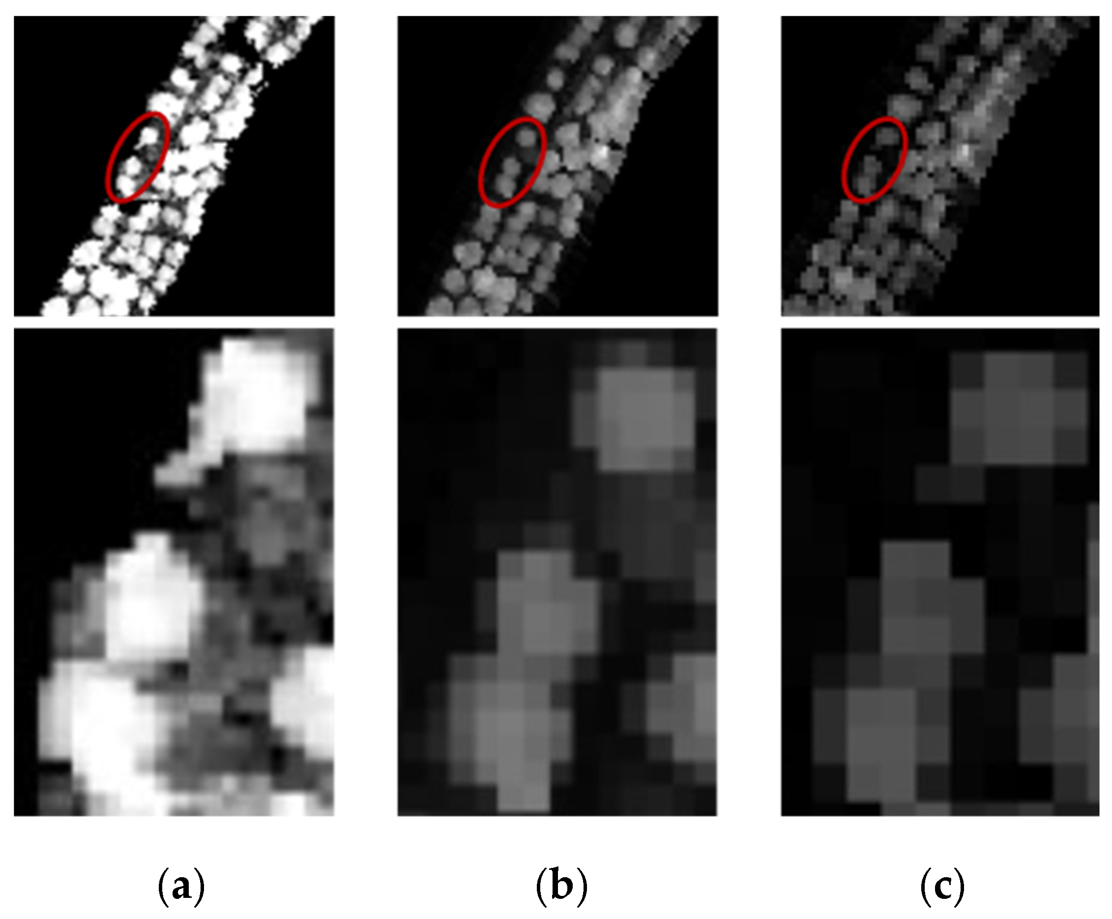 Agriculture 14 00364 g010