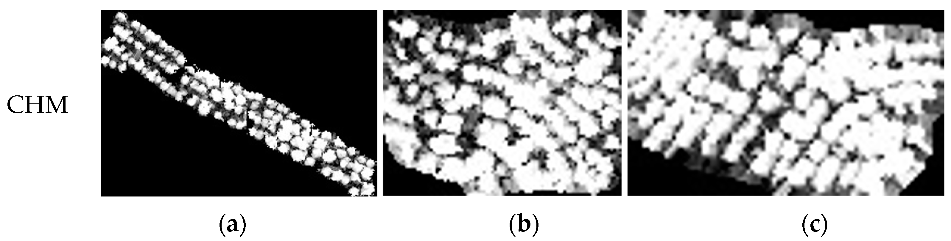 Agriculture 14 00364 g011b