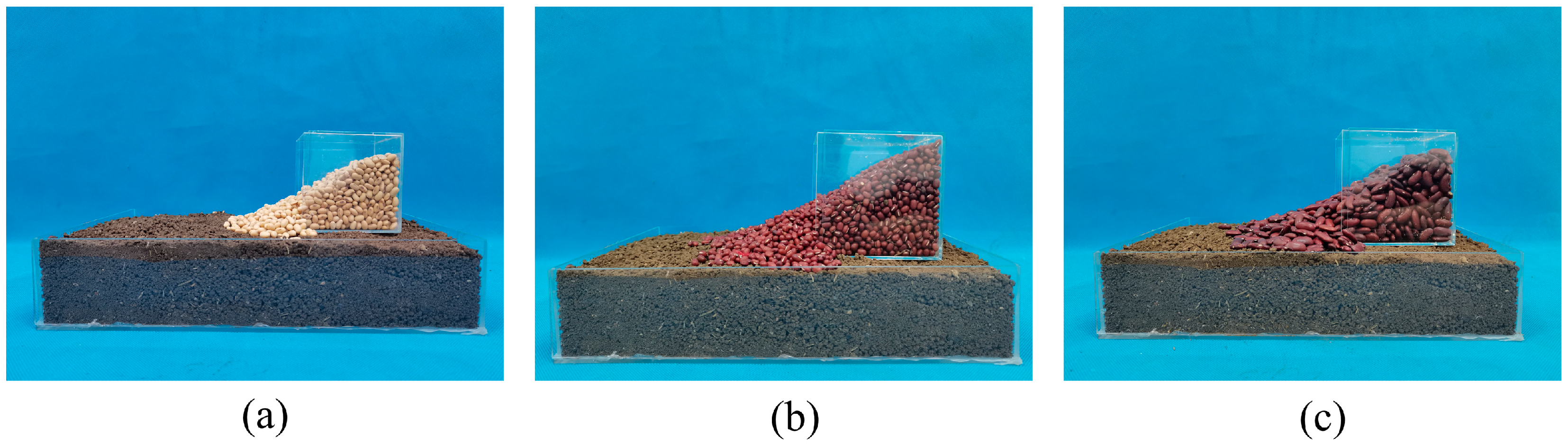 Agriculture 14 00376 g015