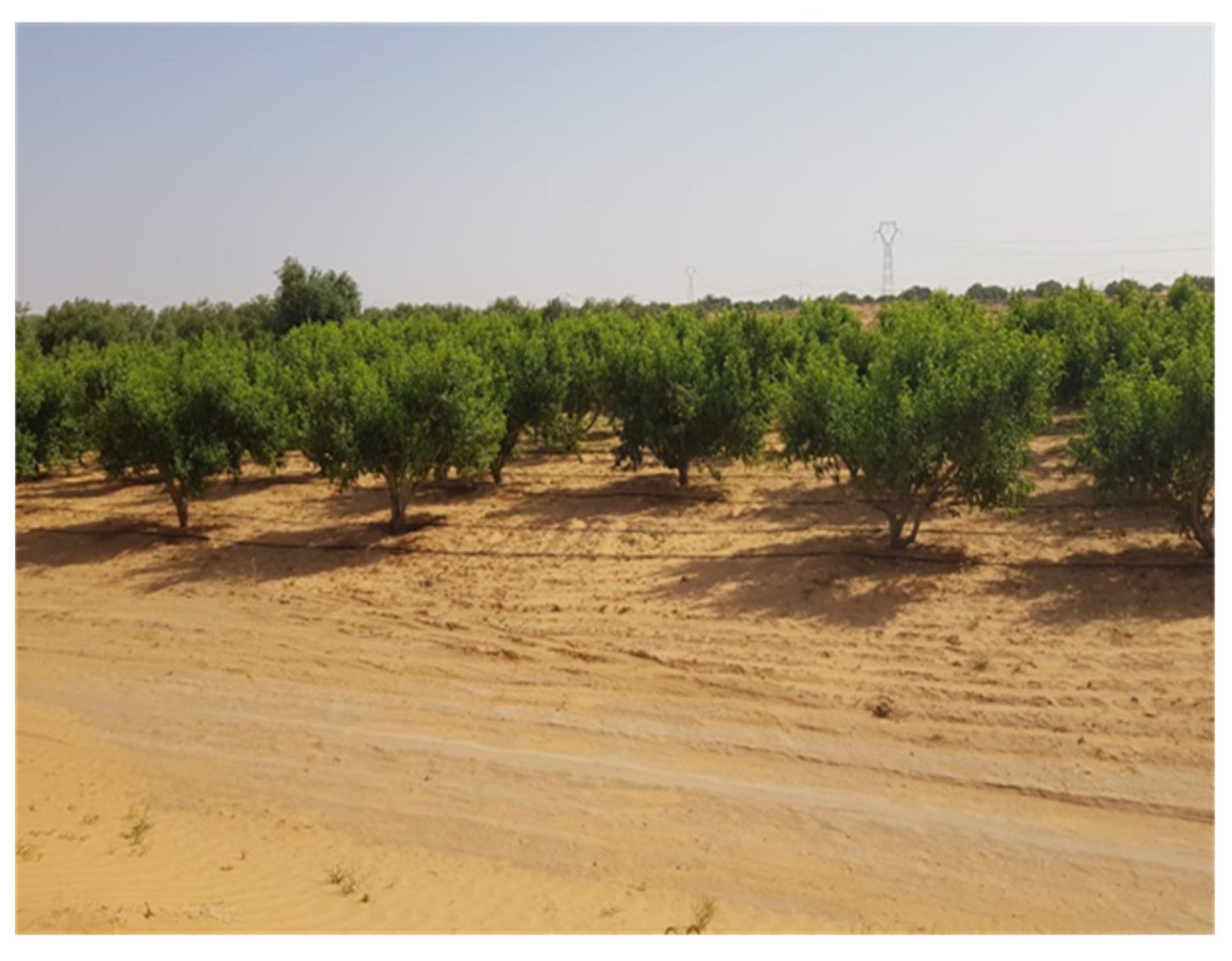 Agriculture 14 00377 g001