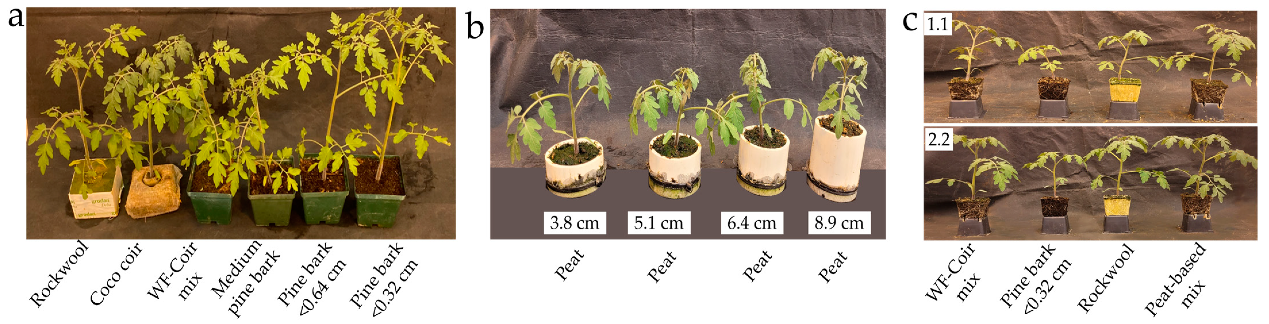 Agriculture 14 00382 g005