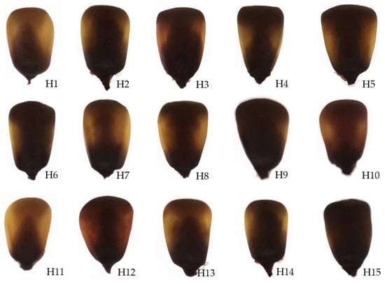 Agriculture 14 00384 g002