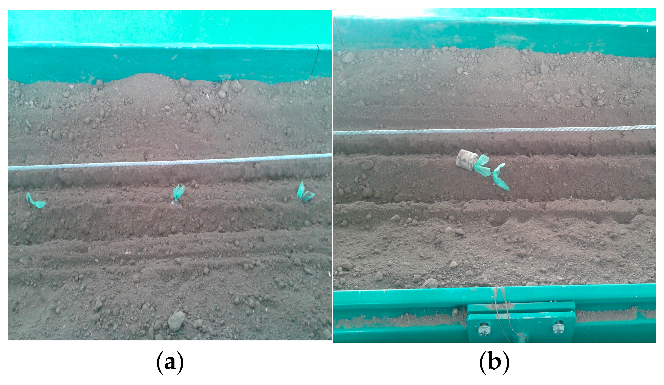 Agriculture 14 00388 g017