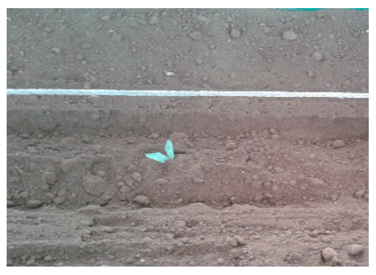 Agriculture 14 00388 g019